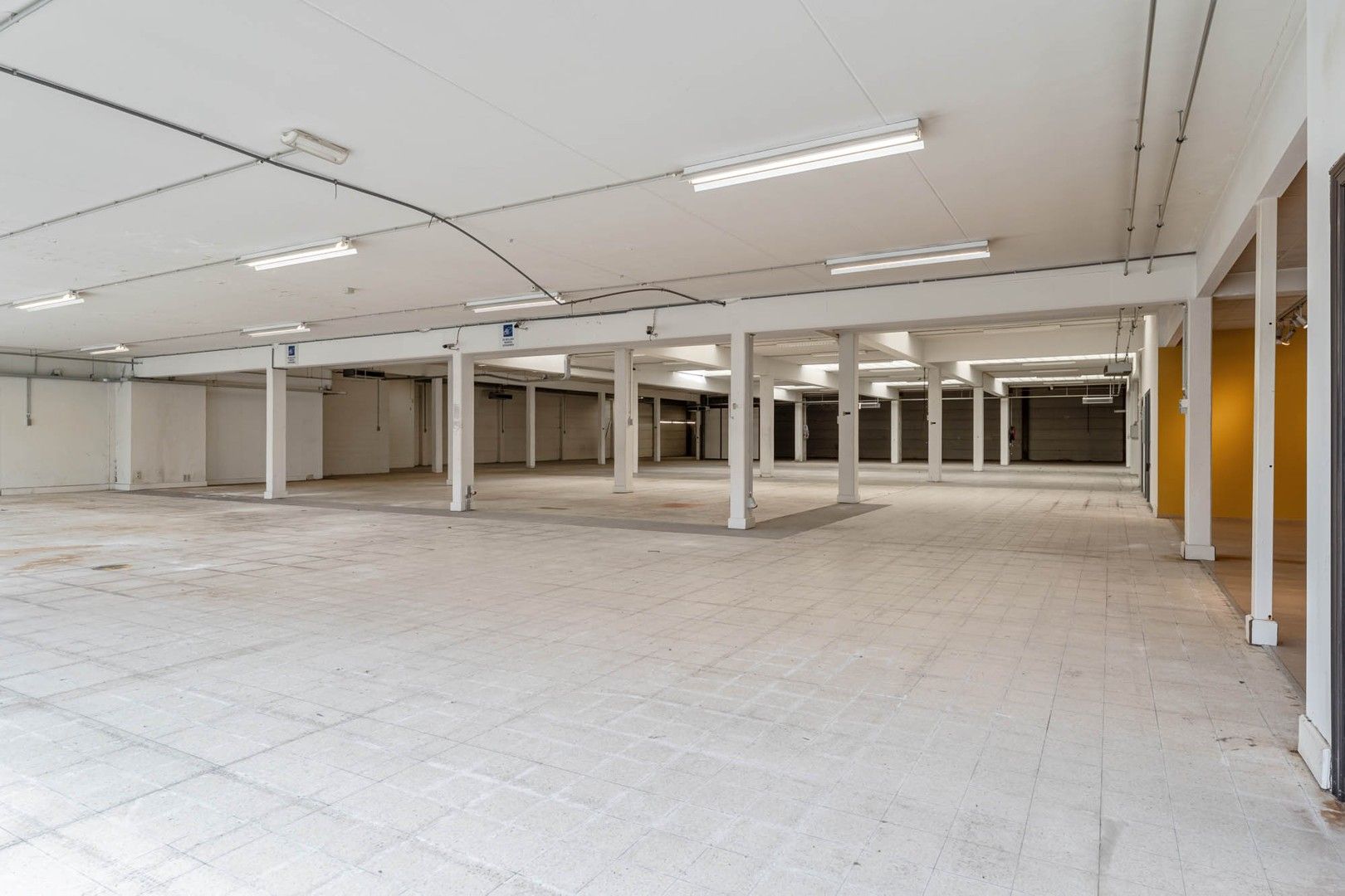 Bedrijfsgebouw (showroom/magazijn) met appartement gelegen op een perceel van 33a 50ca! foto 4