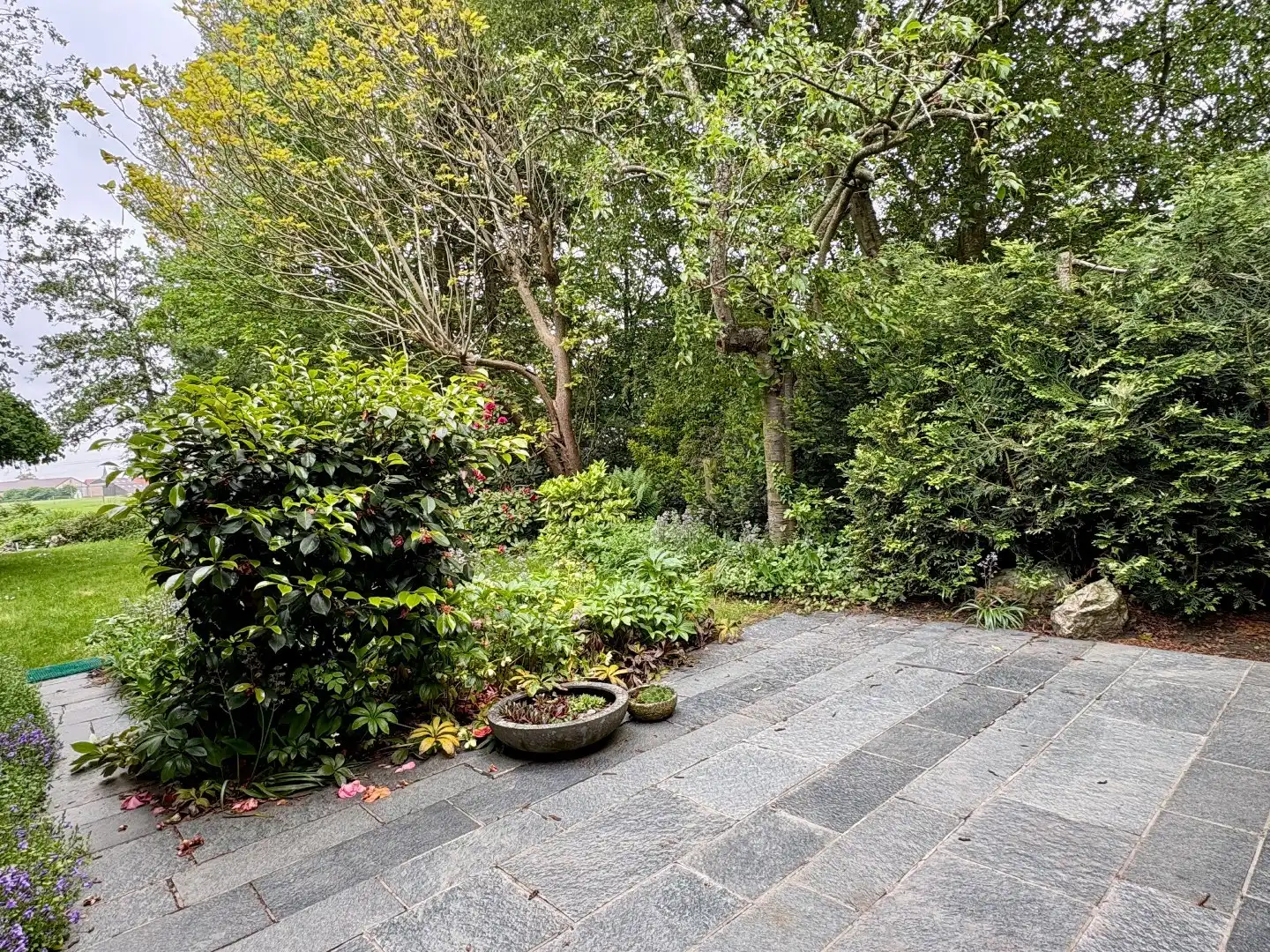 Te renoveren gelijkvloerse villa op 954 m² met landelijke verzichten te Bavikhove. foto 15