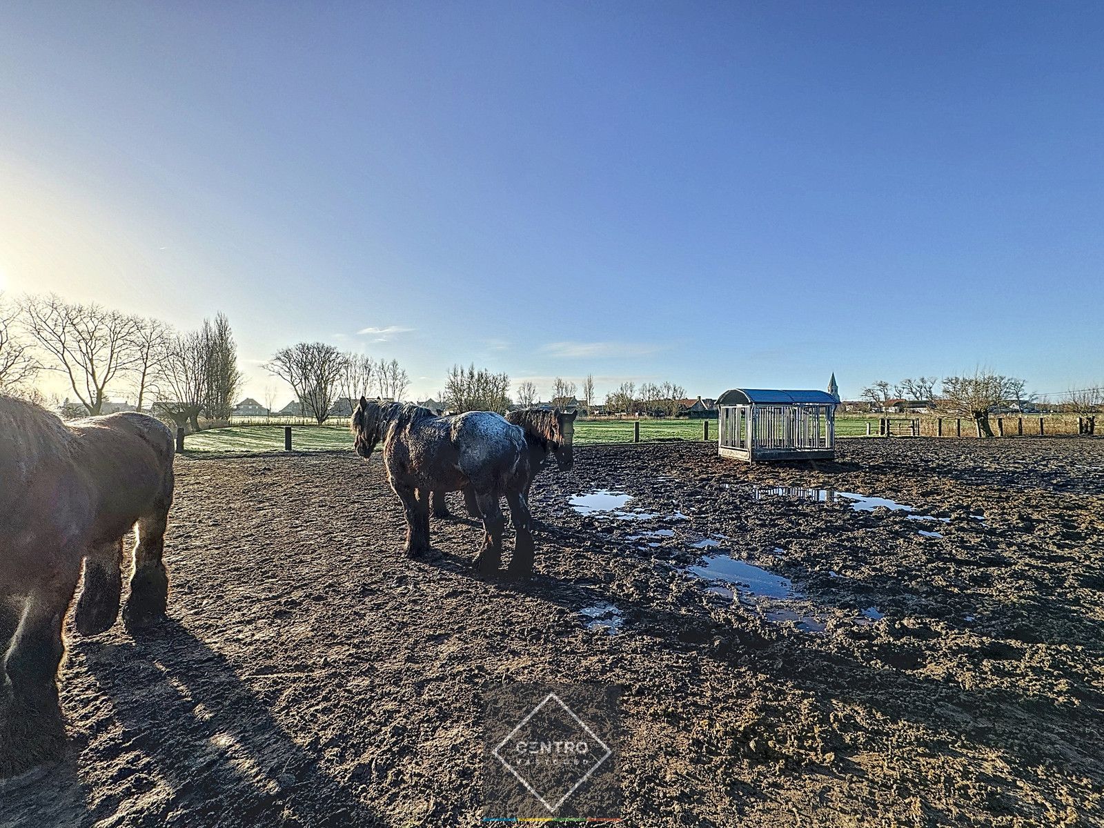 UNIEK gelegen hoeve op TOPligging te Zuienkerke! foto 21