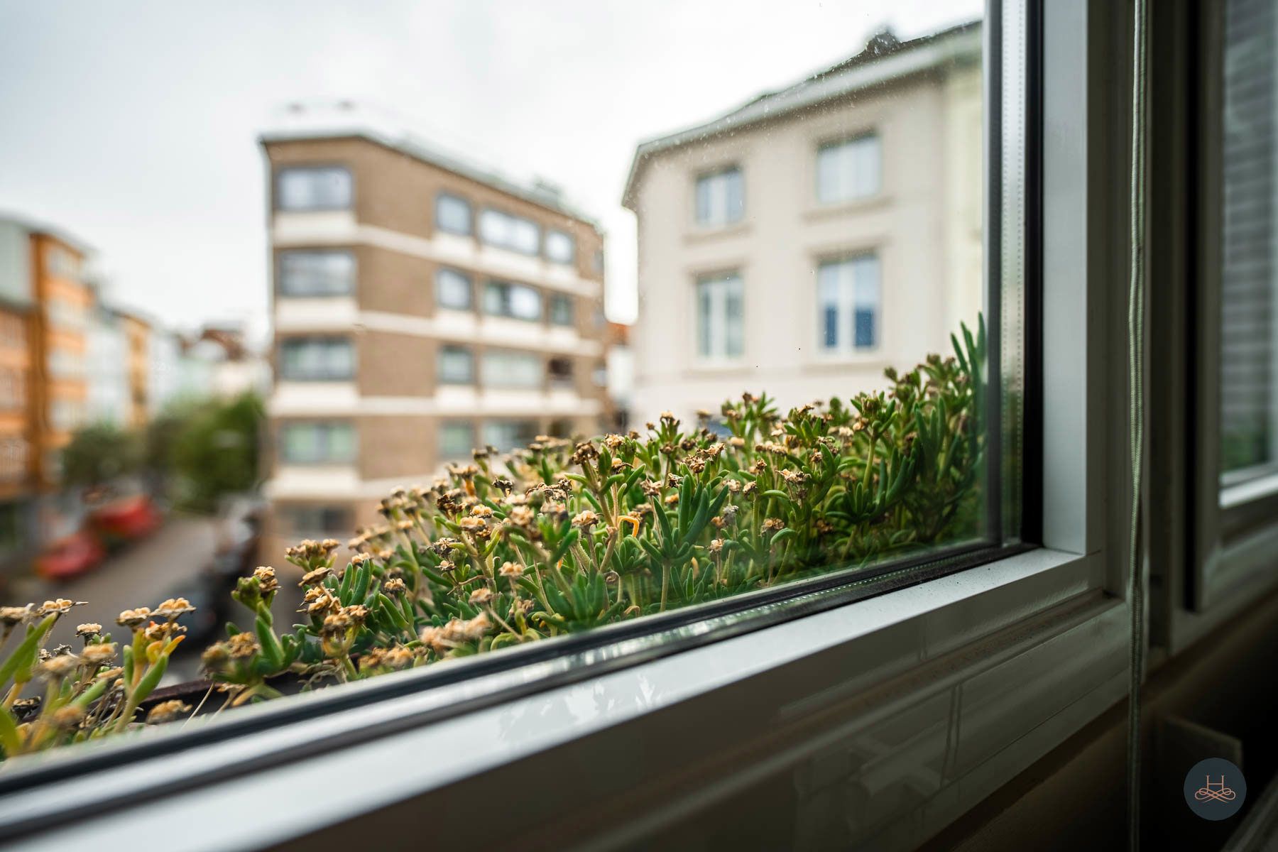 Lichtrijk, karaktervol appartement op uitstekende locatie foto 3