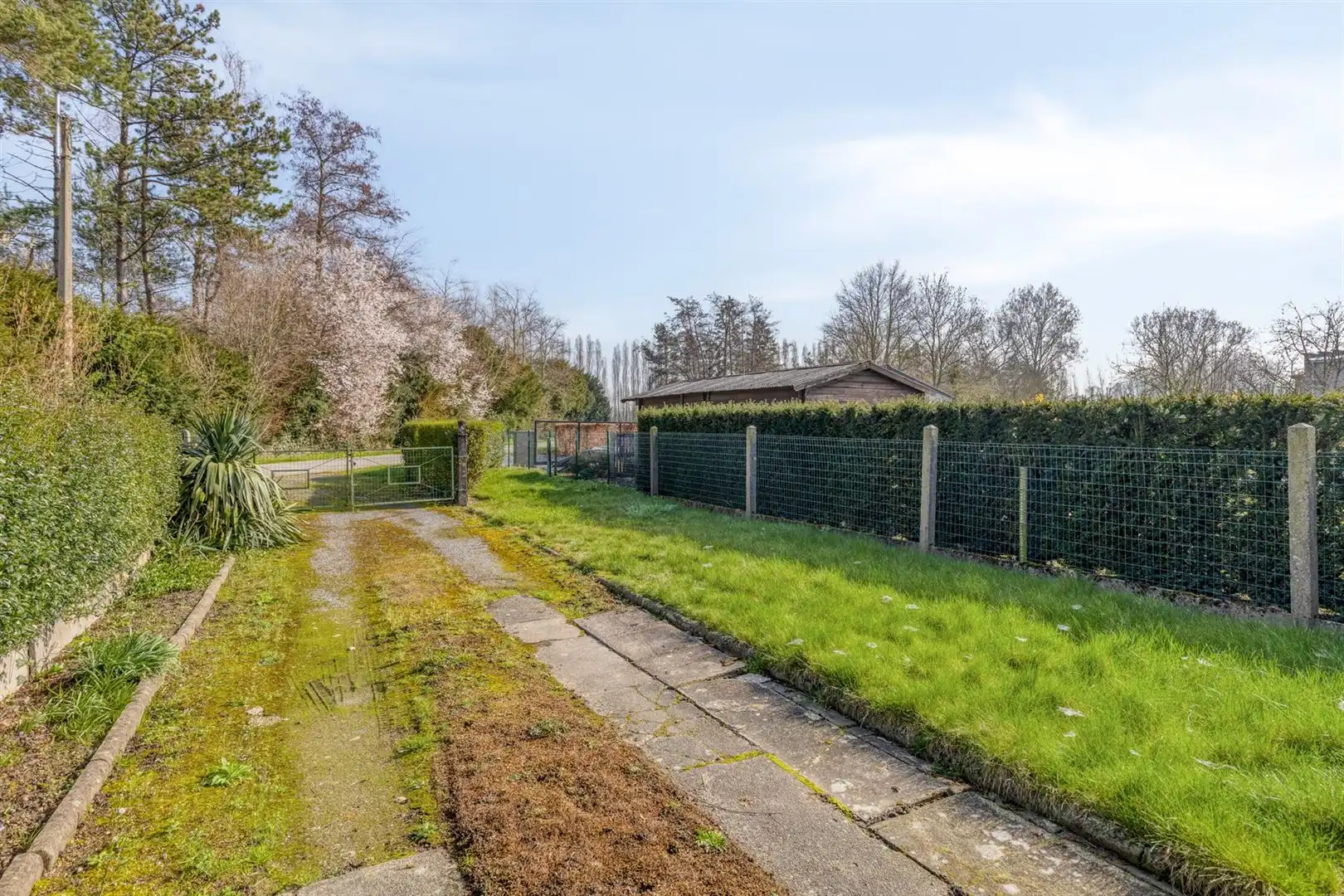 Te renoveren woning met 4 slaapkamers foto 27