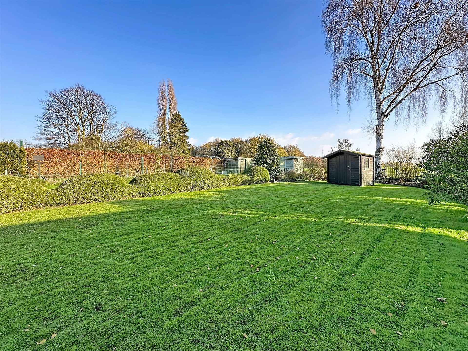 Half open bebouwing met 3 slaapkamers op perceel van 492m² foto 4