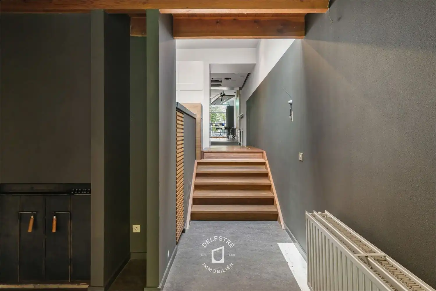 ARCHITECTURALE WONING NABIJ STADSPARK foto 8