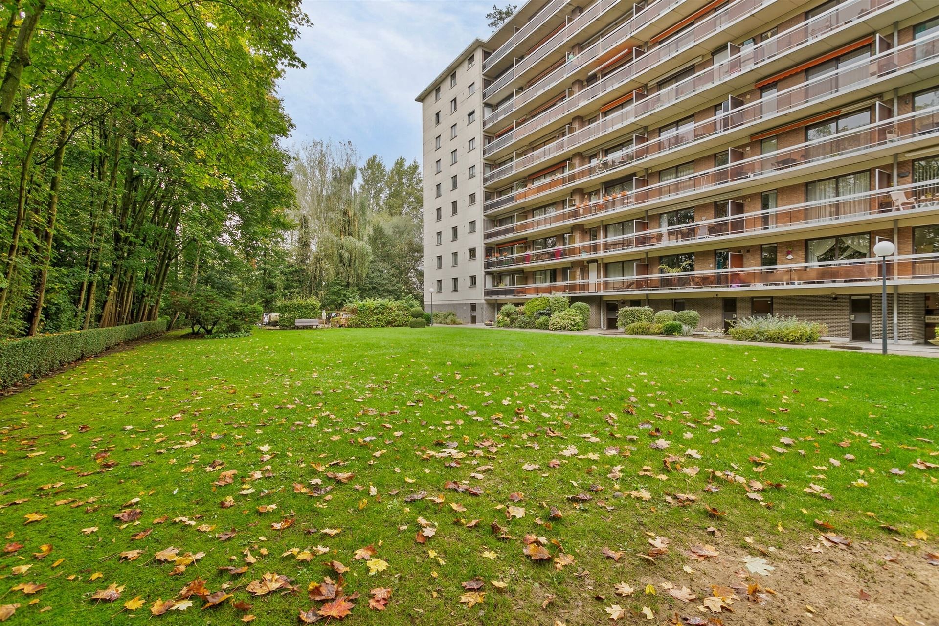 Volledig gerenoveerd 1-slaapkamer appartement foto 12