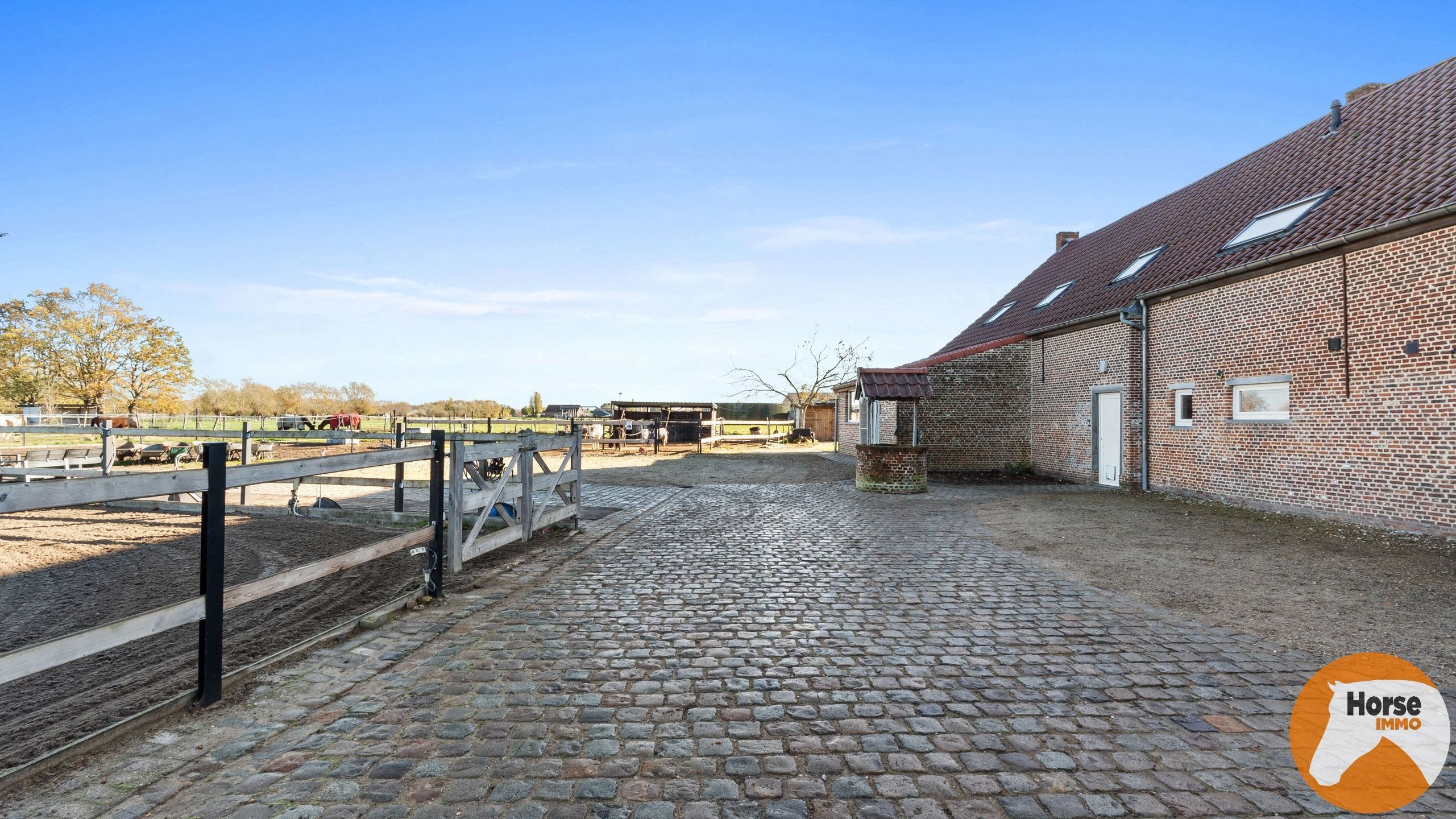 PUTTE - Landelijk wonen met extra verhuurwoning foto 5