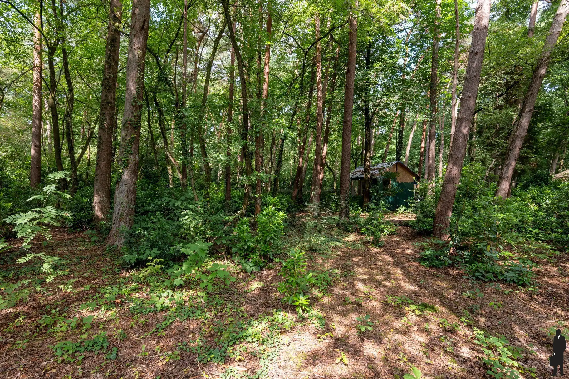 Bouwgrond met af te breken chalet foto 2