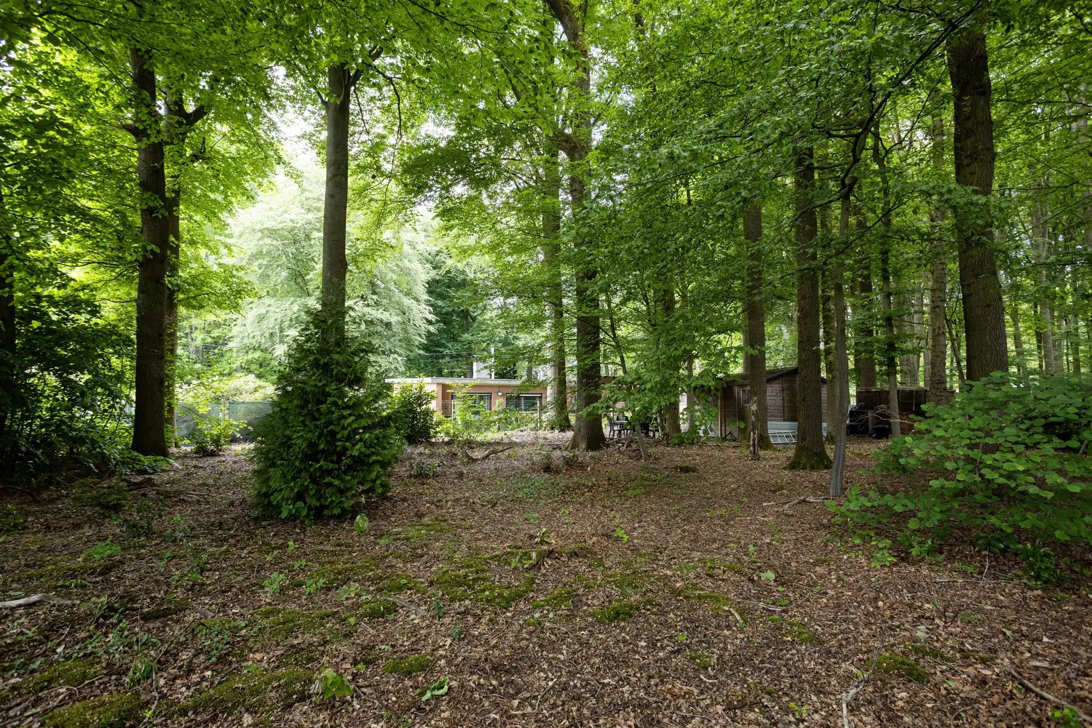 Te moderniseren bungalow met bos in Louise-Marie foto 28