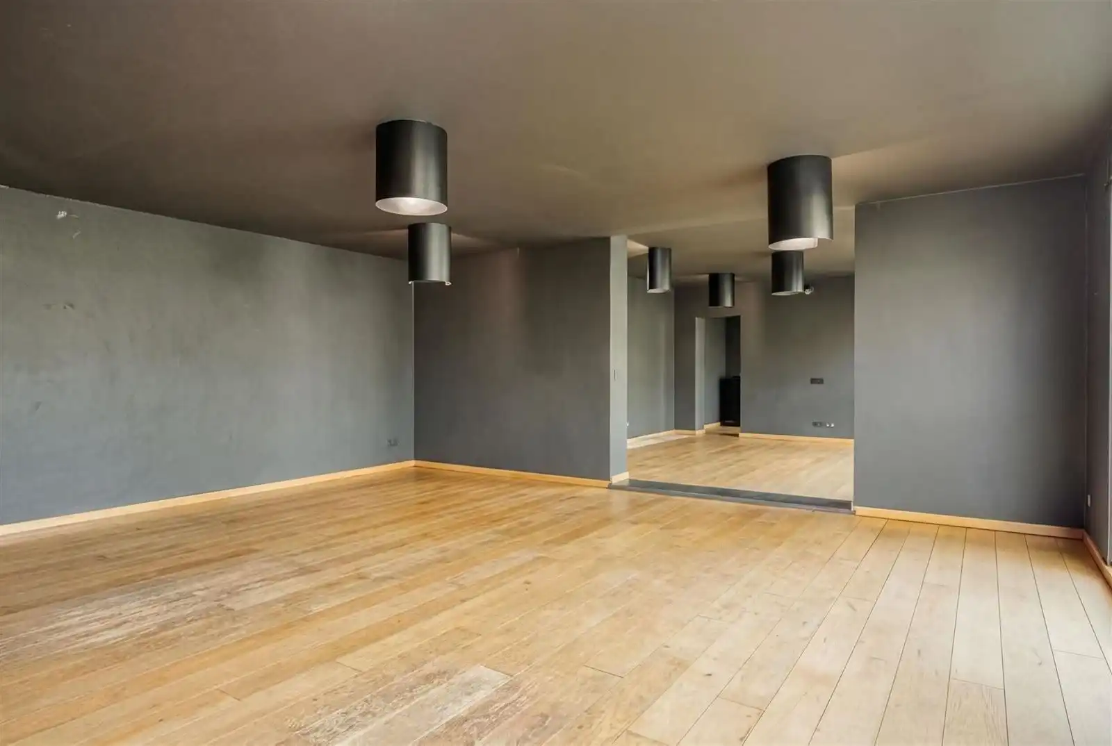 Loods met woning en loft te koop foto 7