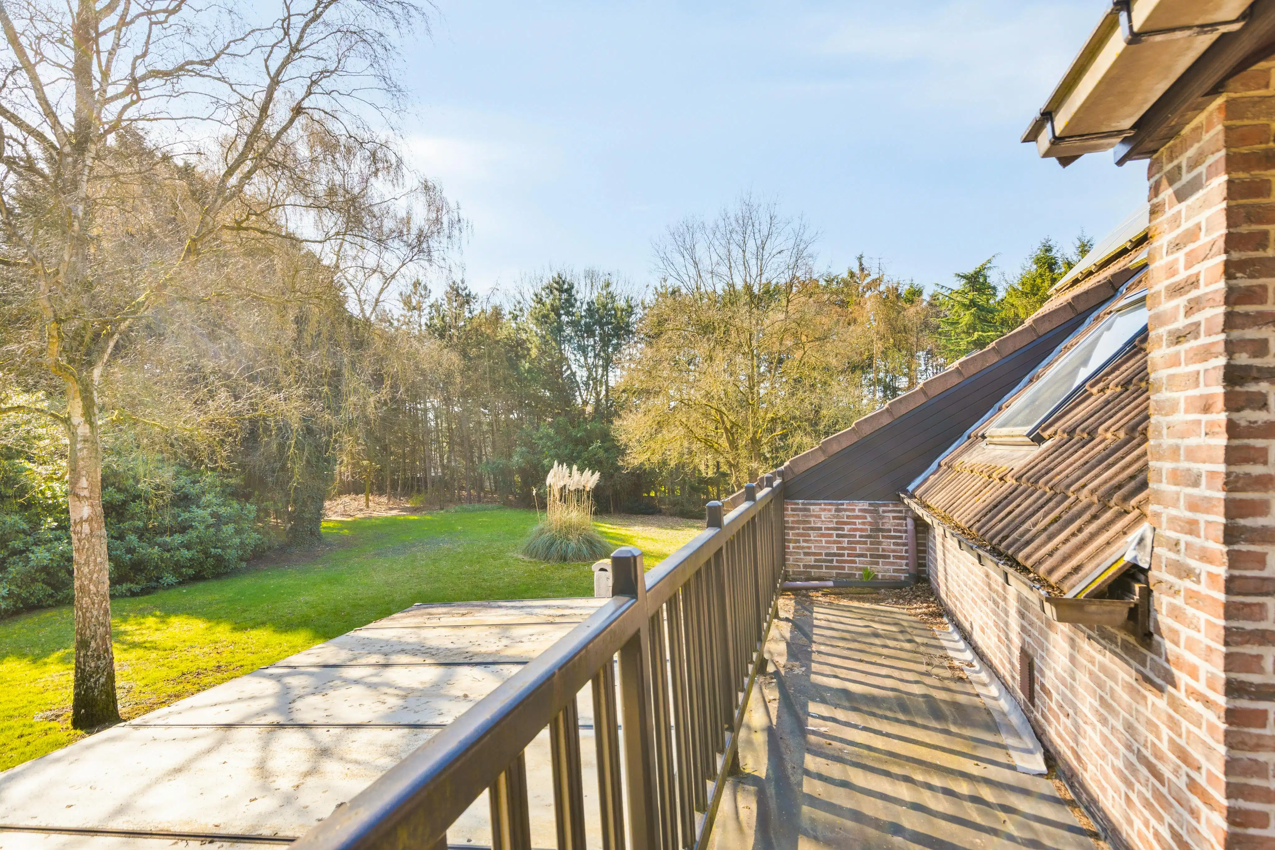 Woning en groot bijgebouw op 8.347m² in Sint-Job-in-’t-Goor foto 29