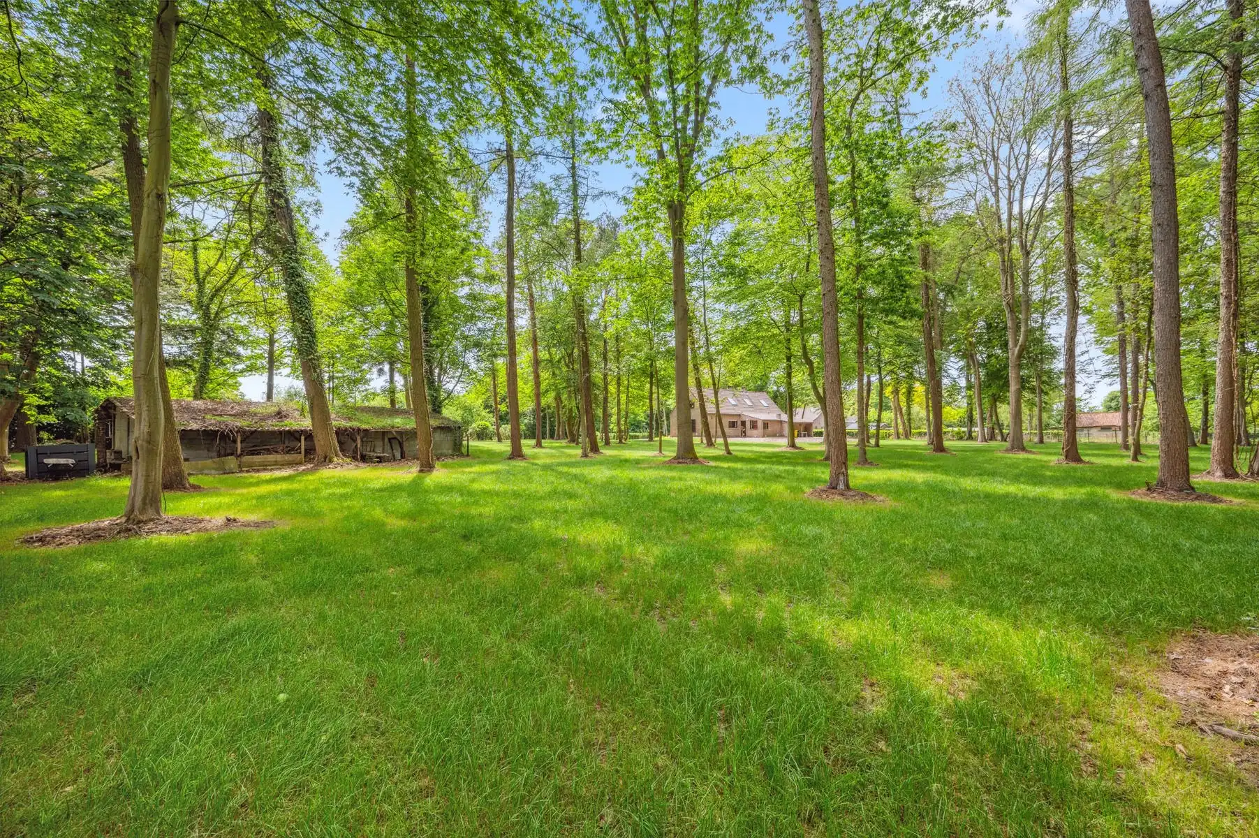 Landhuis in prachtige parktuin van 1ha te HALLAAR foto 20
