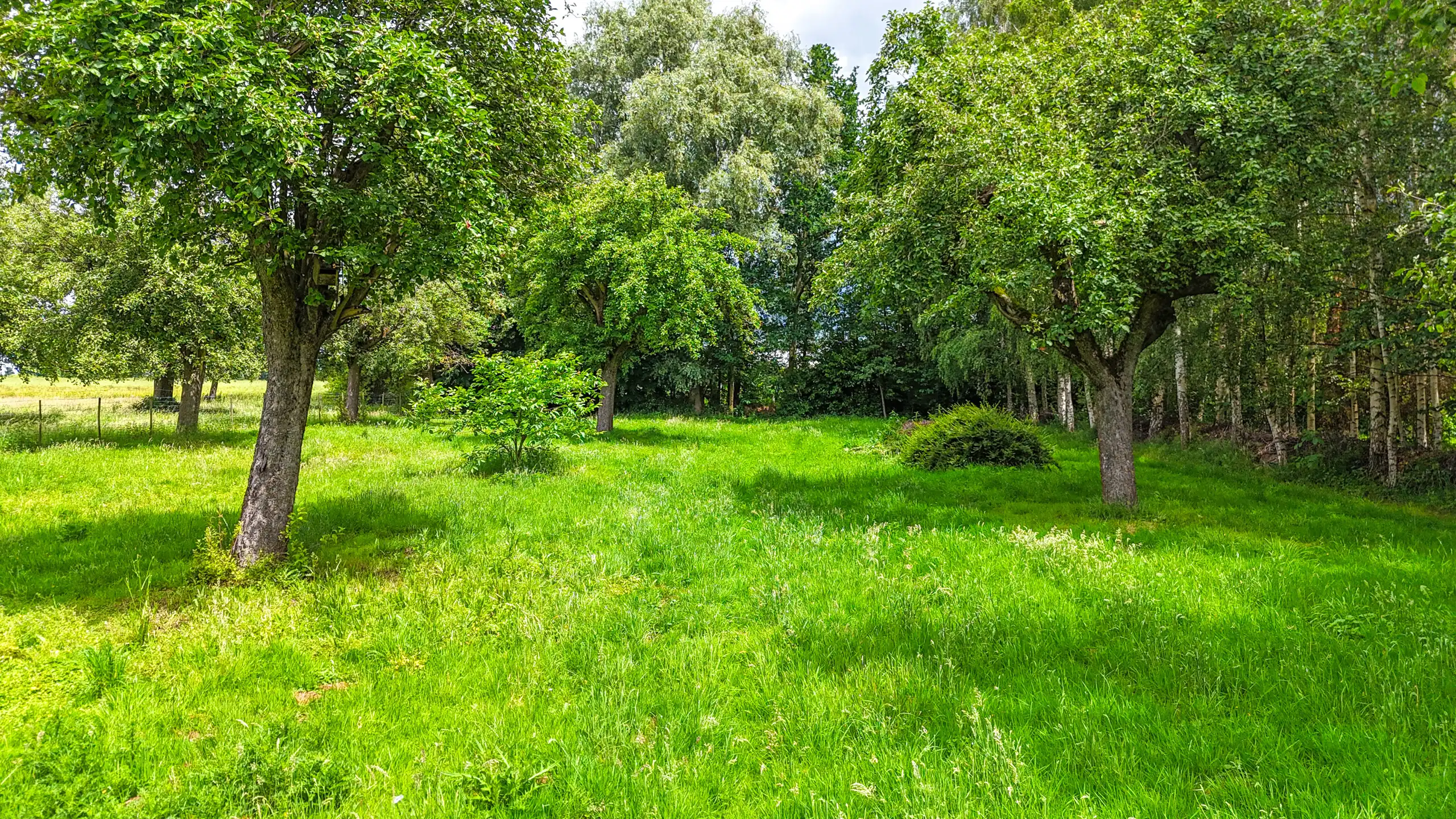 Authentieke hoeve met perceel van 68are en 2slpks! foto 57