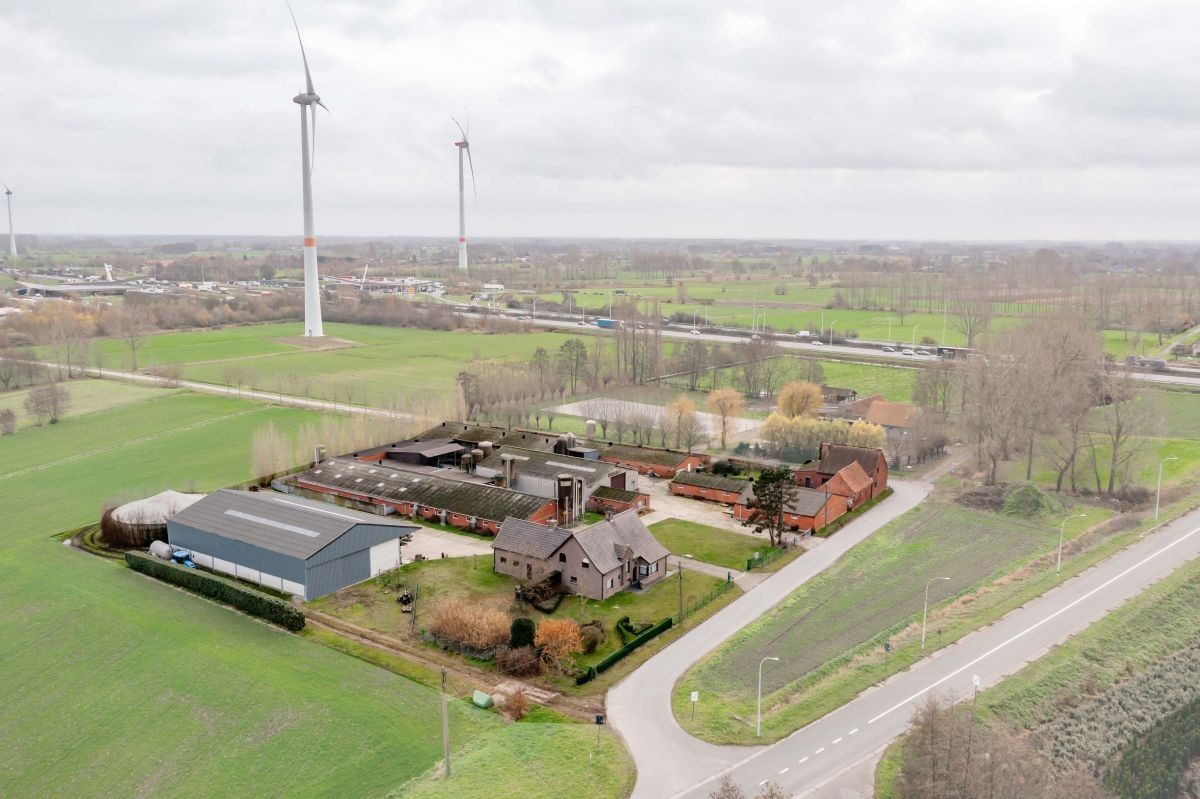 Varkensbedrijf te koop te Lochristi foto 2