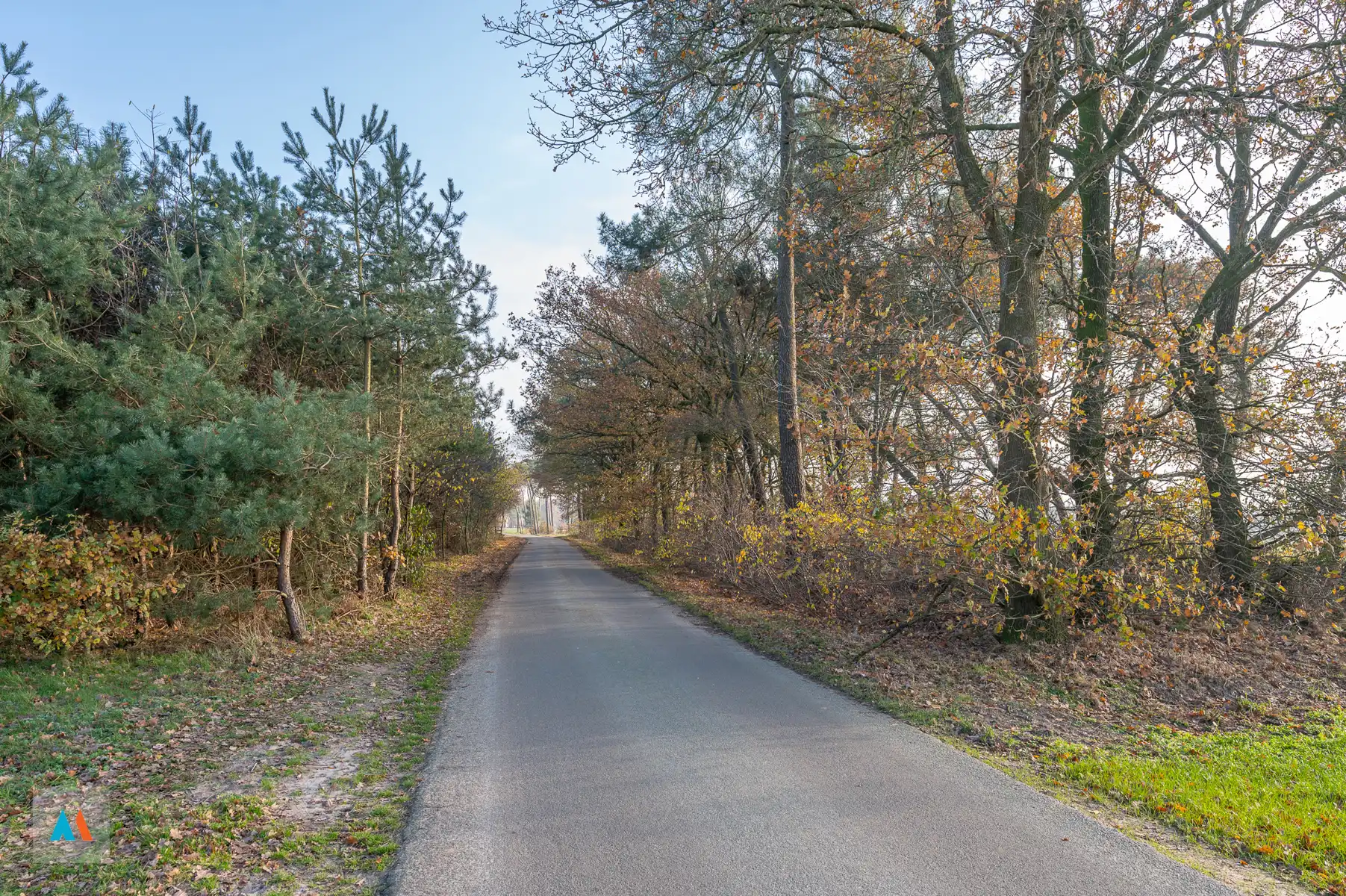 Gemengd perceel Landbouw- en bosgrond foto 4