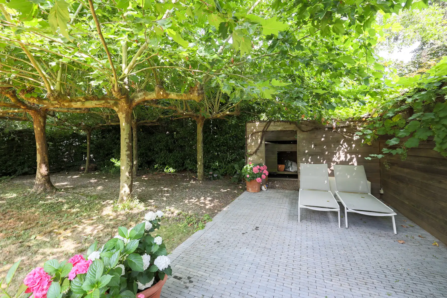 Een warme thuis, omringd door groen foto 27