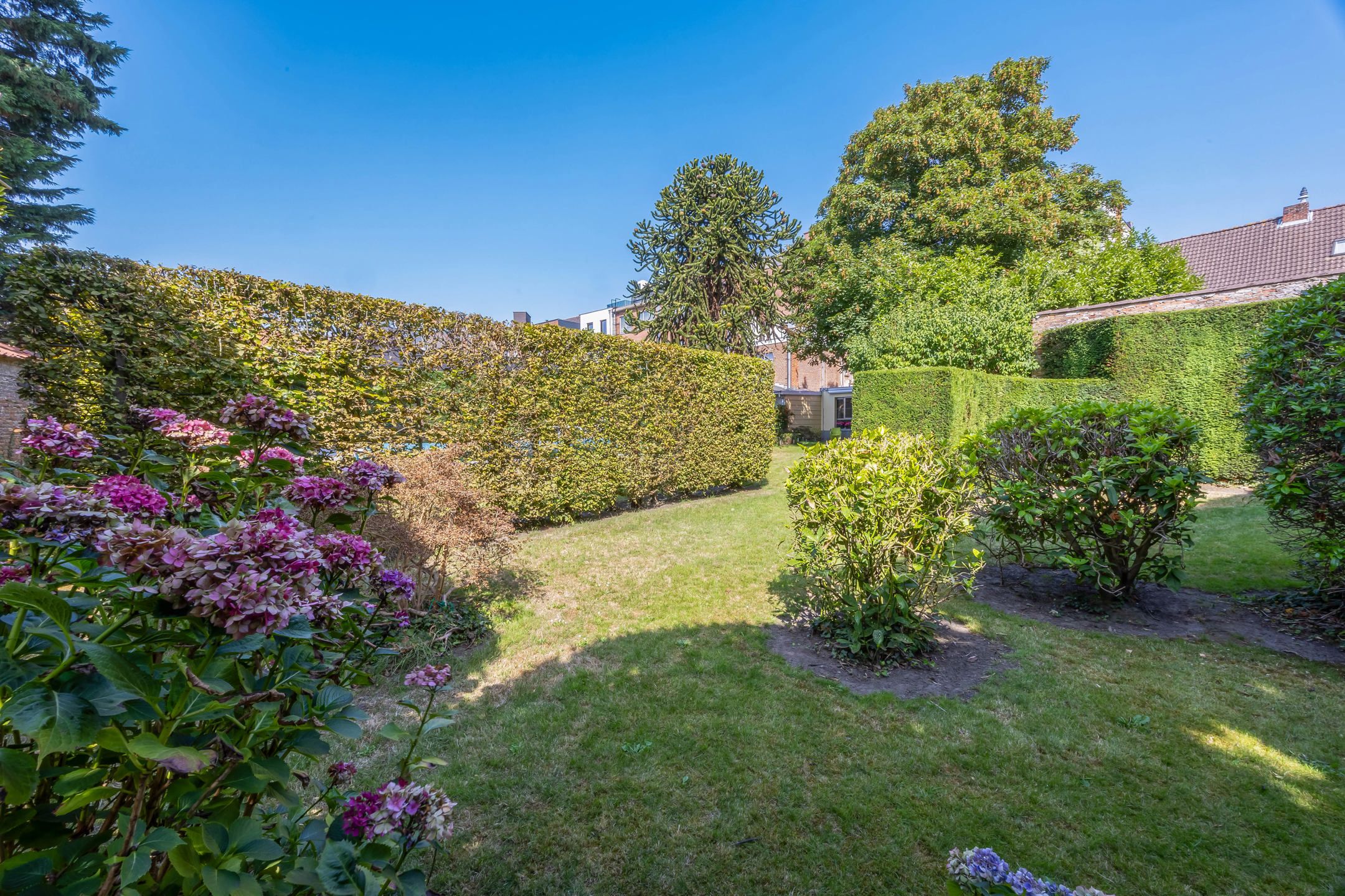 Karaktervolle woning met grote tuin en zwembad in hartje Lier foto 9