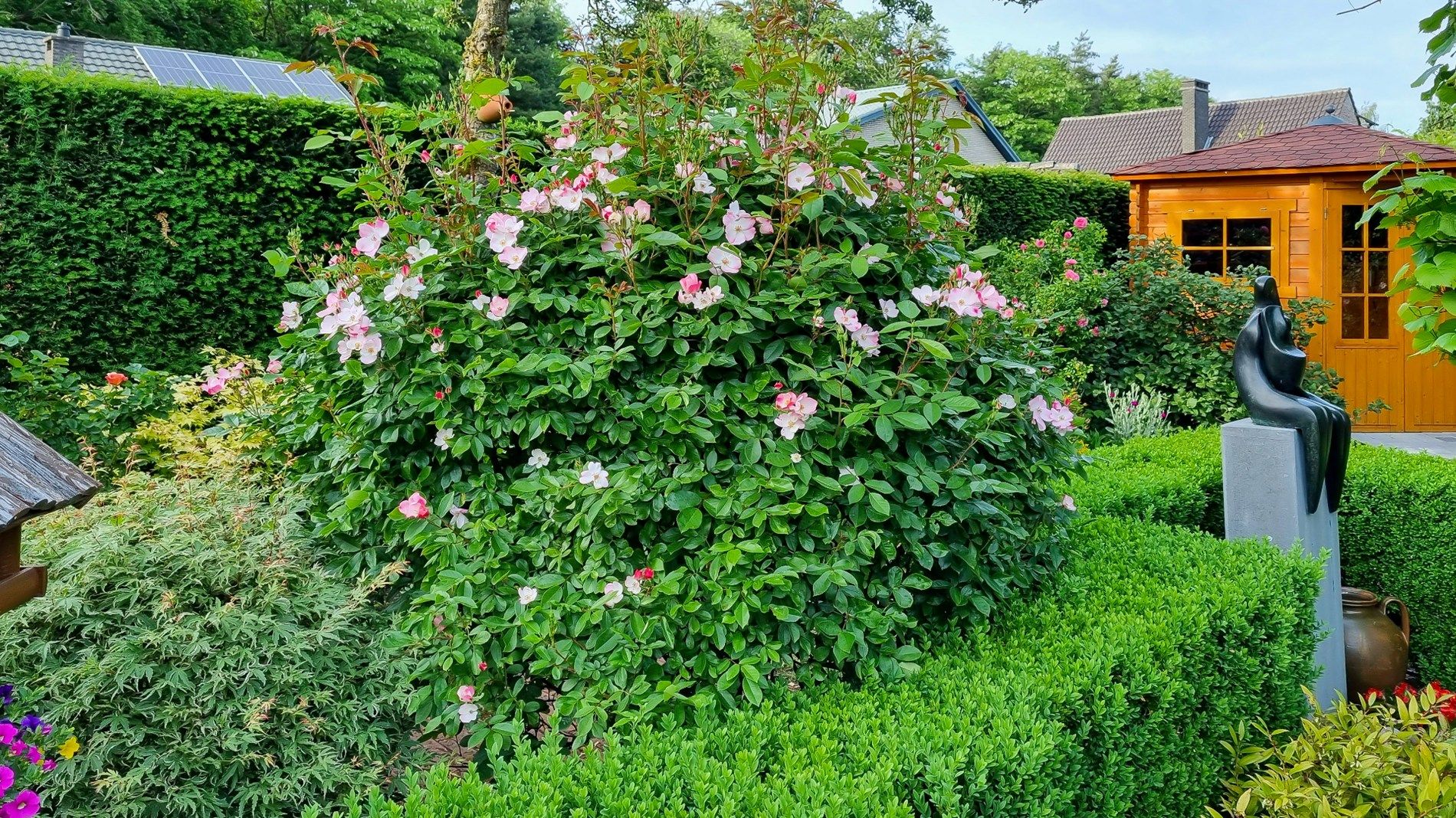 Openstaand huis in doodlopende straat op perceel van 555 m² foto 18