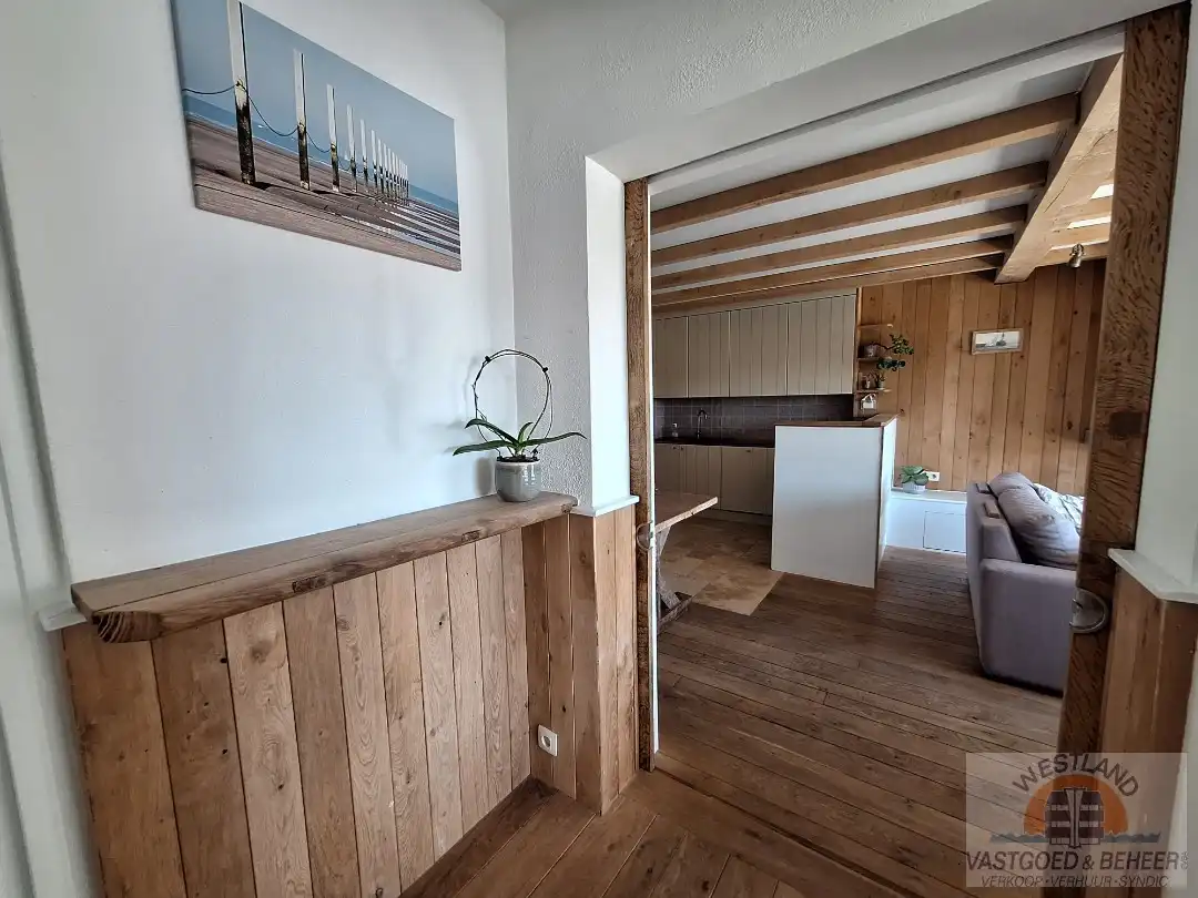 Prachtig appartement met zicht op de duinen foto 7