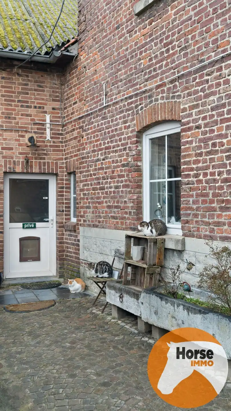 HASSELT (Kortessem) - Manege met veel potentieel! foto 16