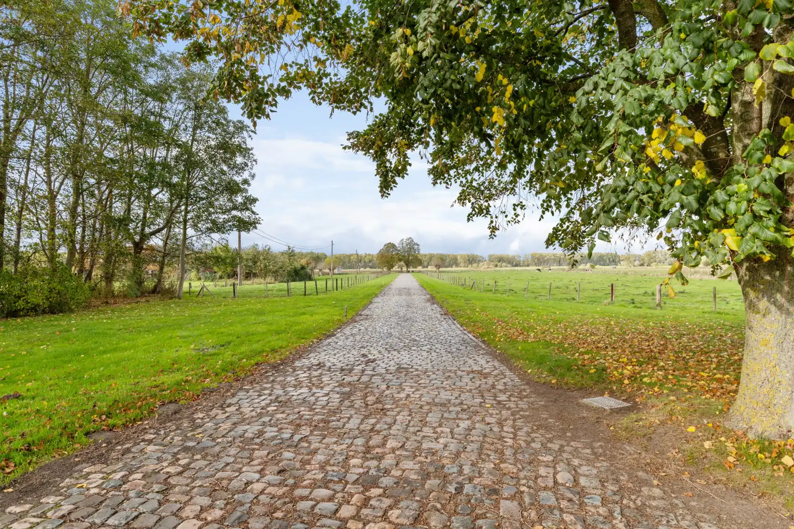 Exclusief landhuis “Reigershof” met bijgebouw en uniek domein te Damme foto 4