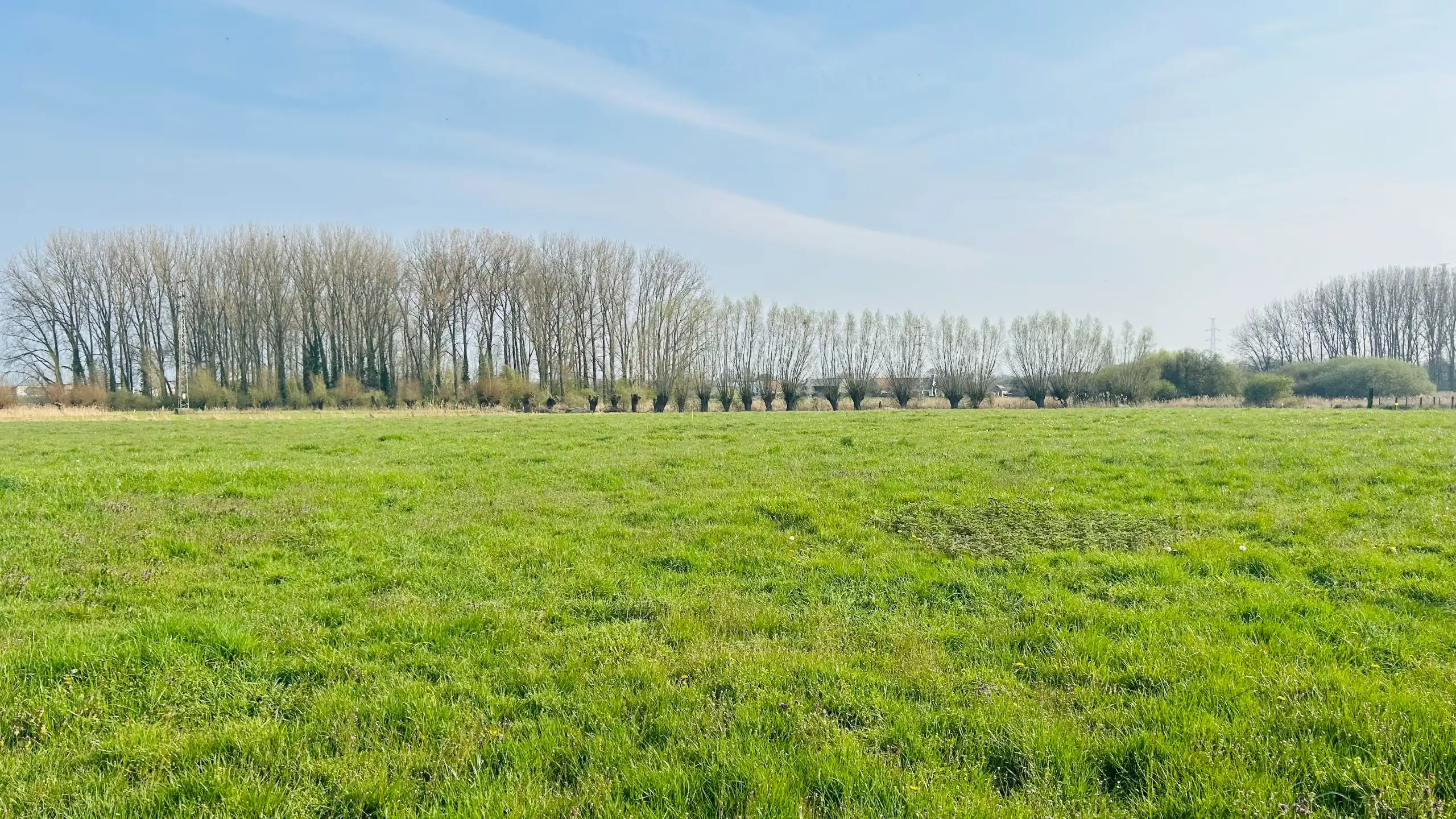 Unieke combinatie van bouwgrond en landbouwgrond foto 2