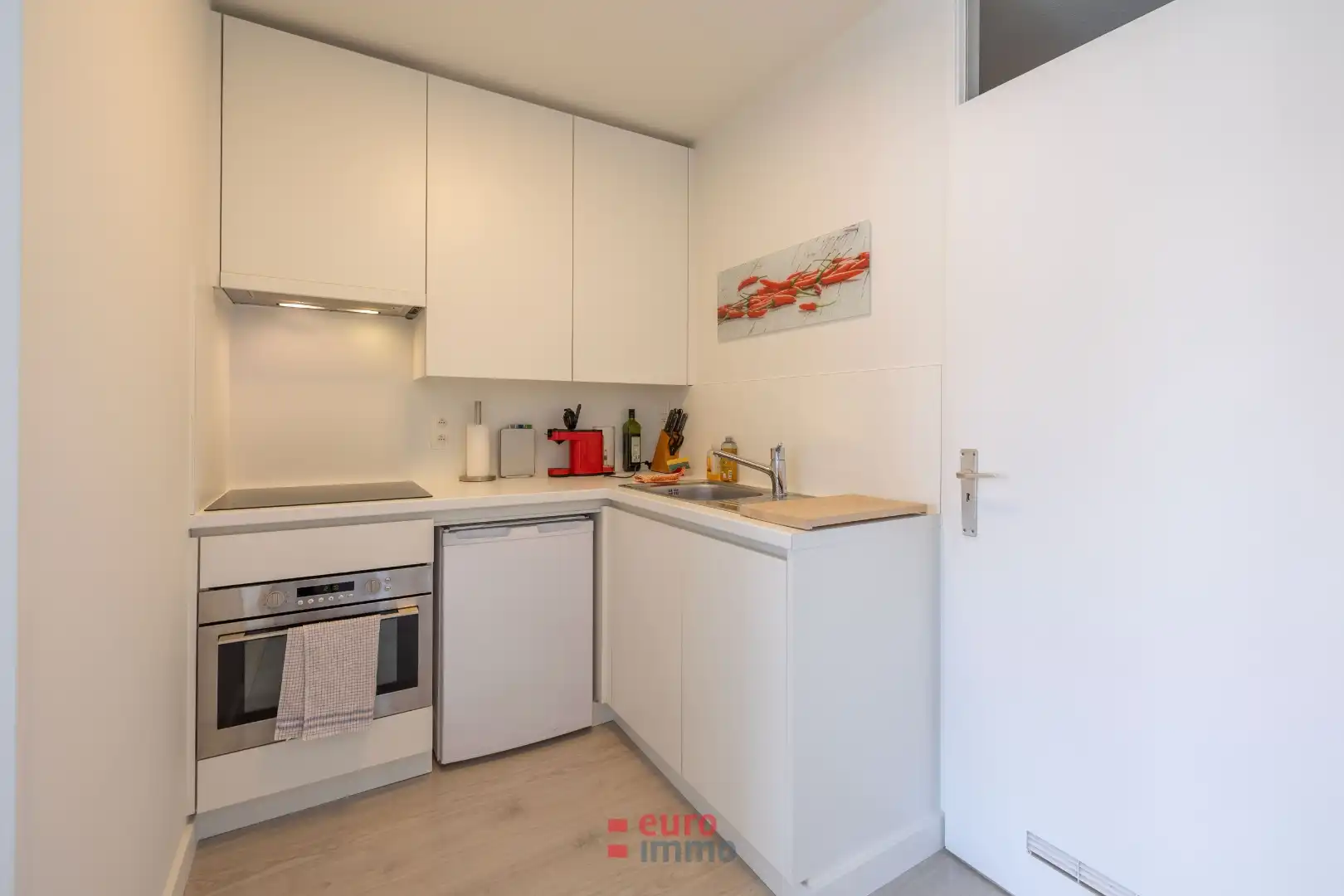 Mooi gerenoveerd en lichtrijk appartement op centrale ligging in Nieuwpoort foto 9