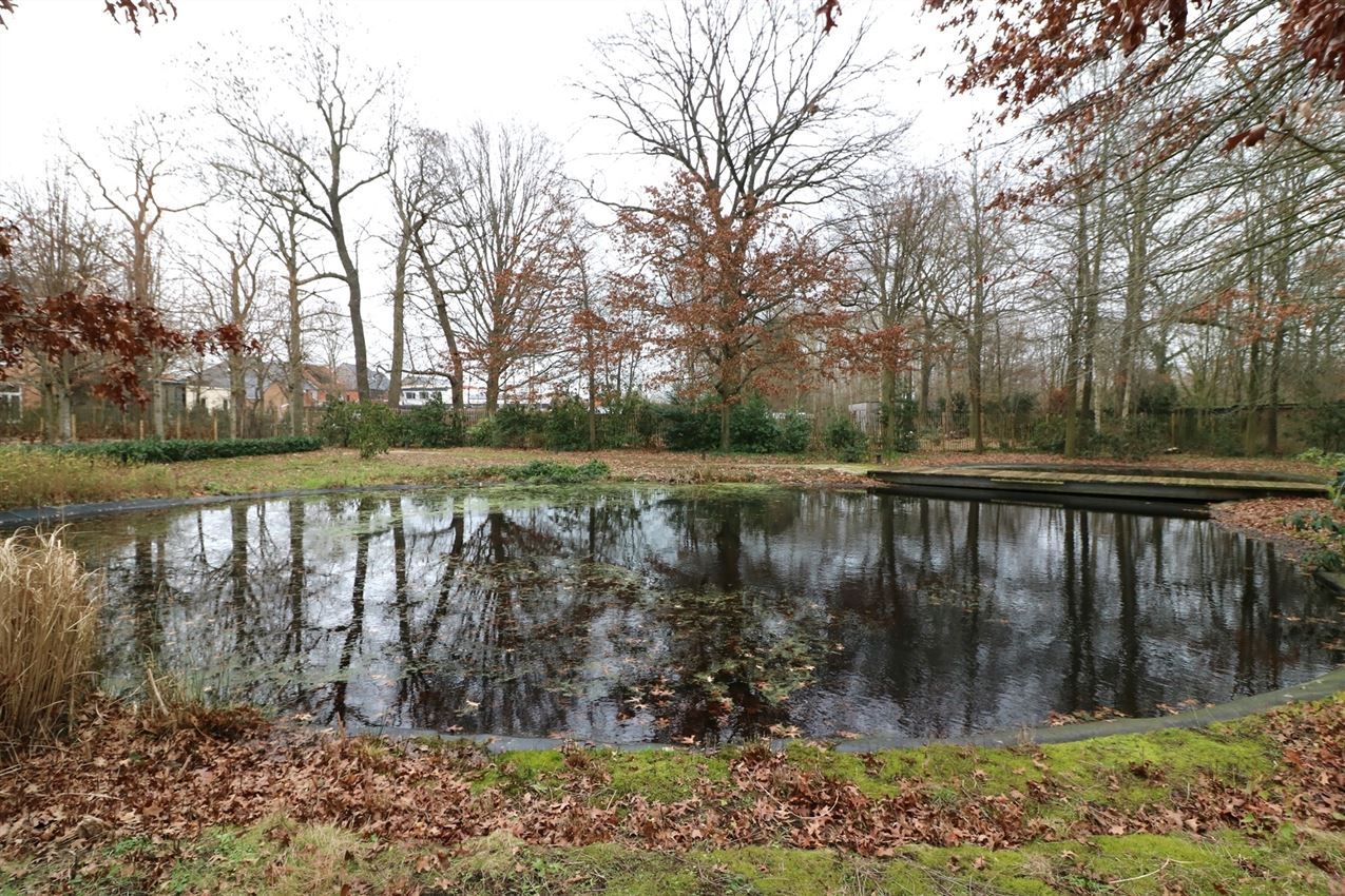  Ruim gelijkvloers app, garage, overdekt terras foto 5