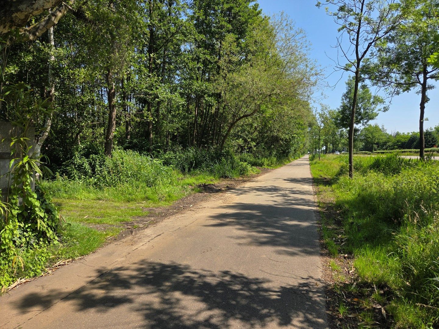 Perceel hooiland van 2.532 m² langs de Ring in Mol ! foto 9