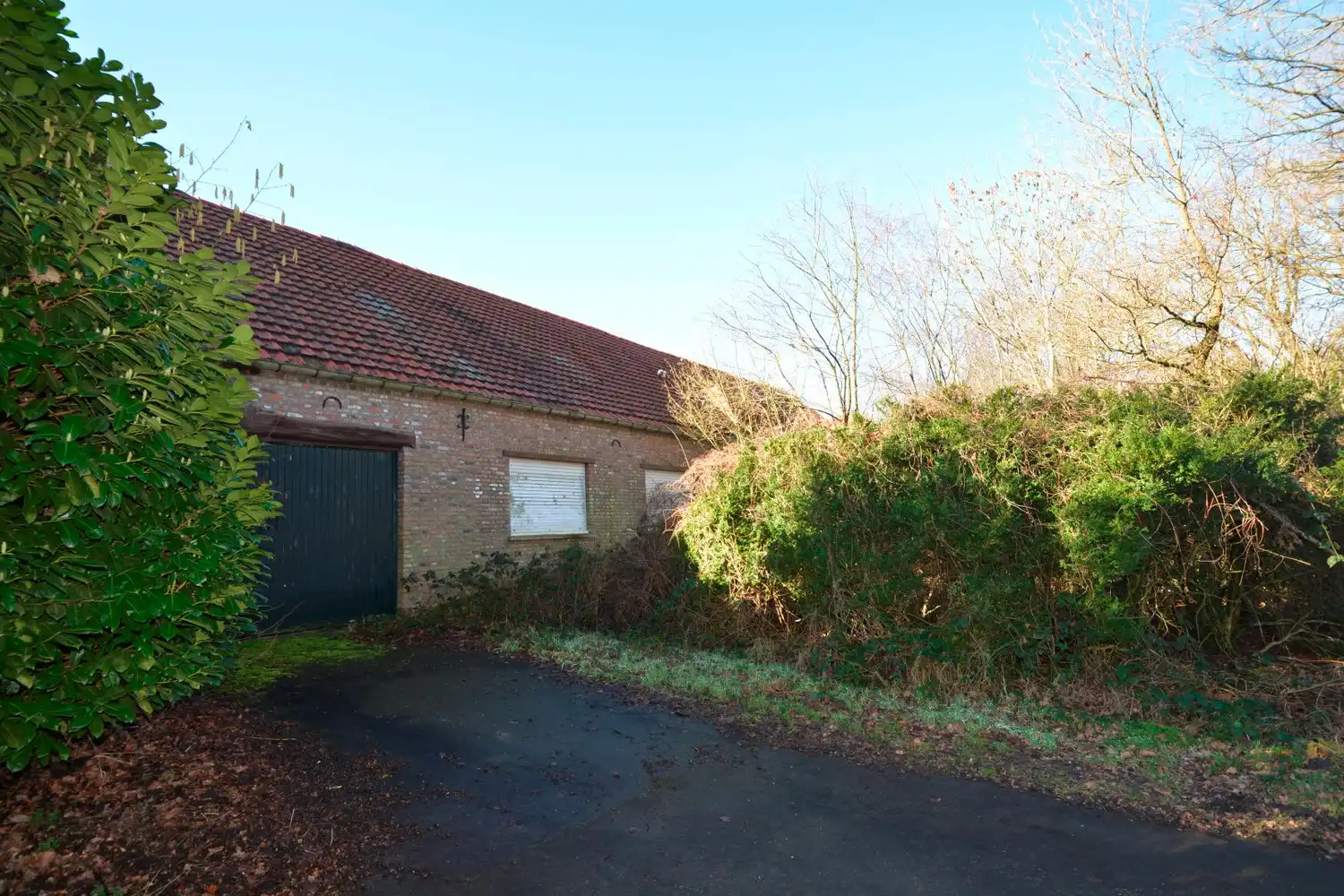 TE RENOVEREN LANDHUIS OP 14.000 m²! foto 8