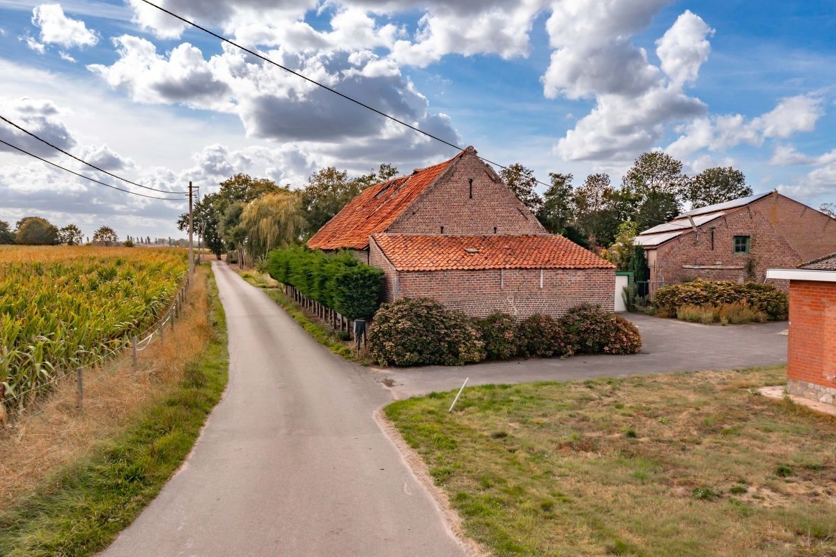Hoeve op circa 10 ha te koop te Maldegem foto 7