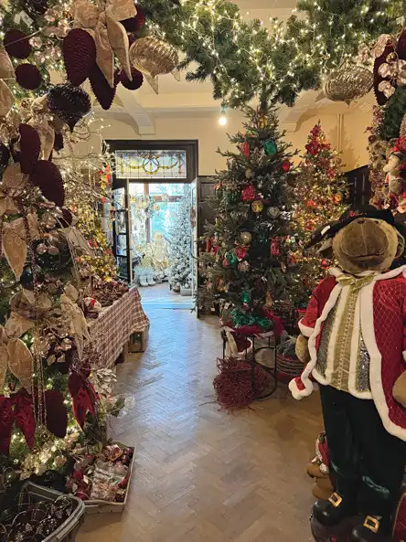 HANDELSPAND MET WOONST OP TOPLOCATIE TE DIEST! foto 12