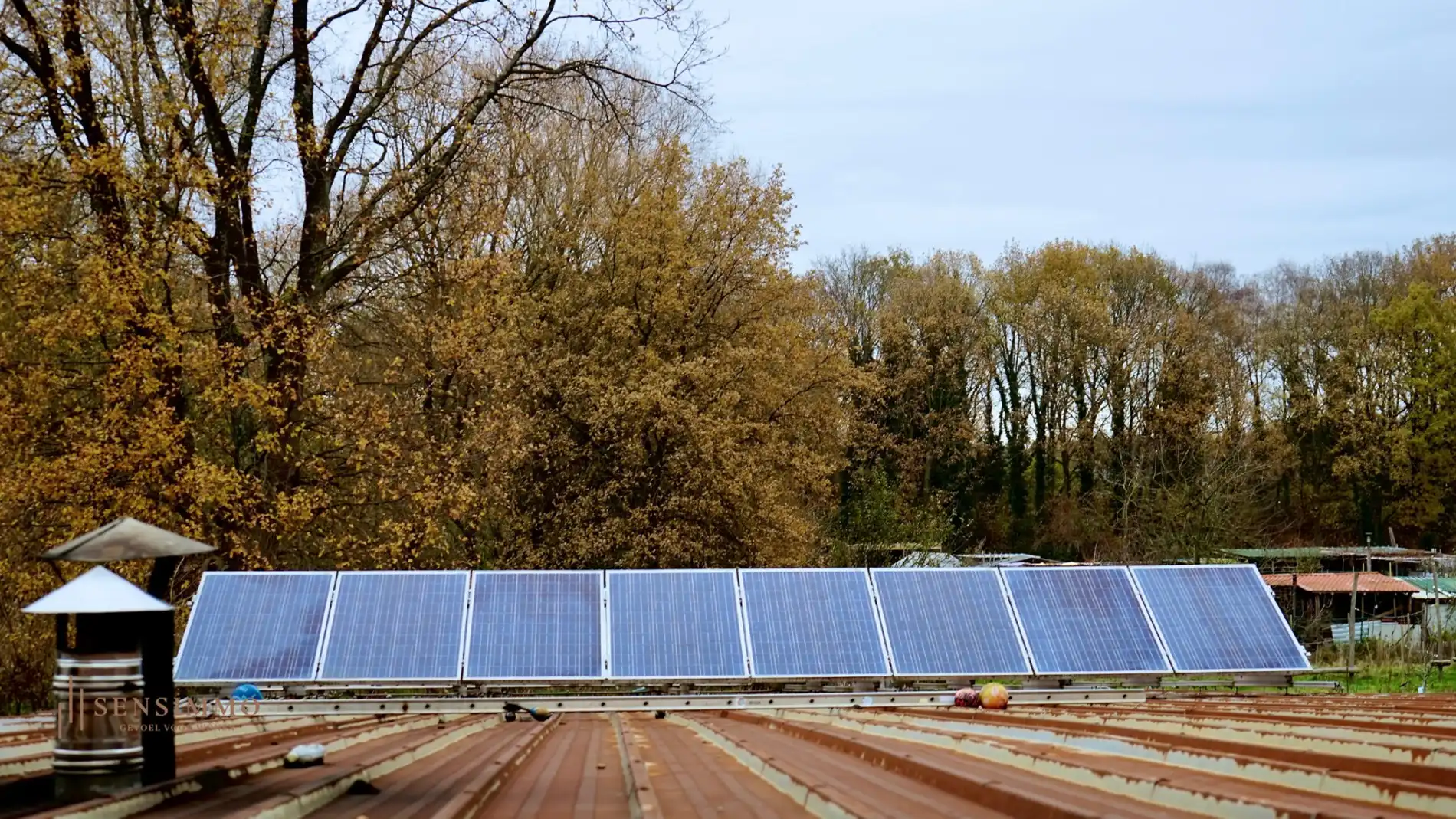 Te renoveren handelshuis/Bakkerij met inboedel nabij LABIOMISTA foto 20