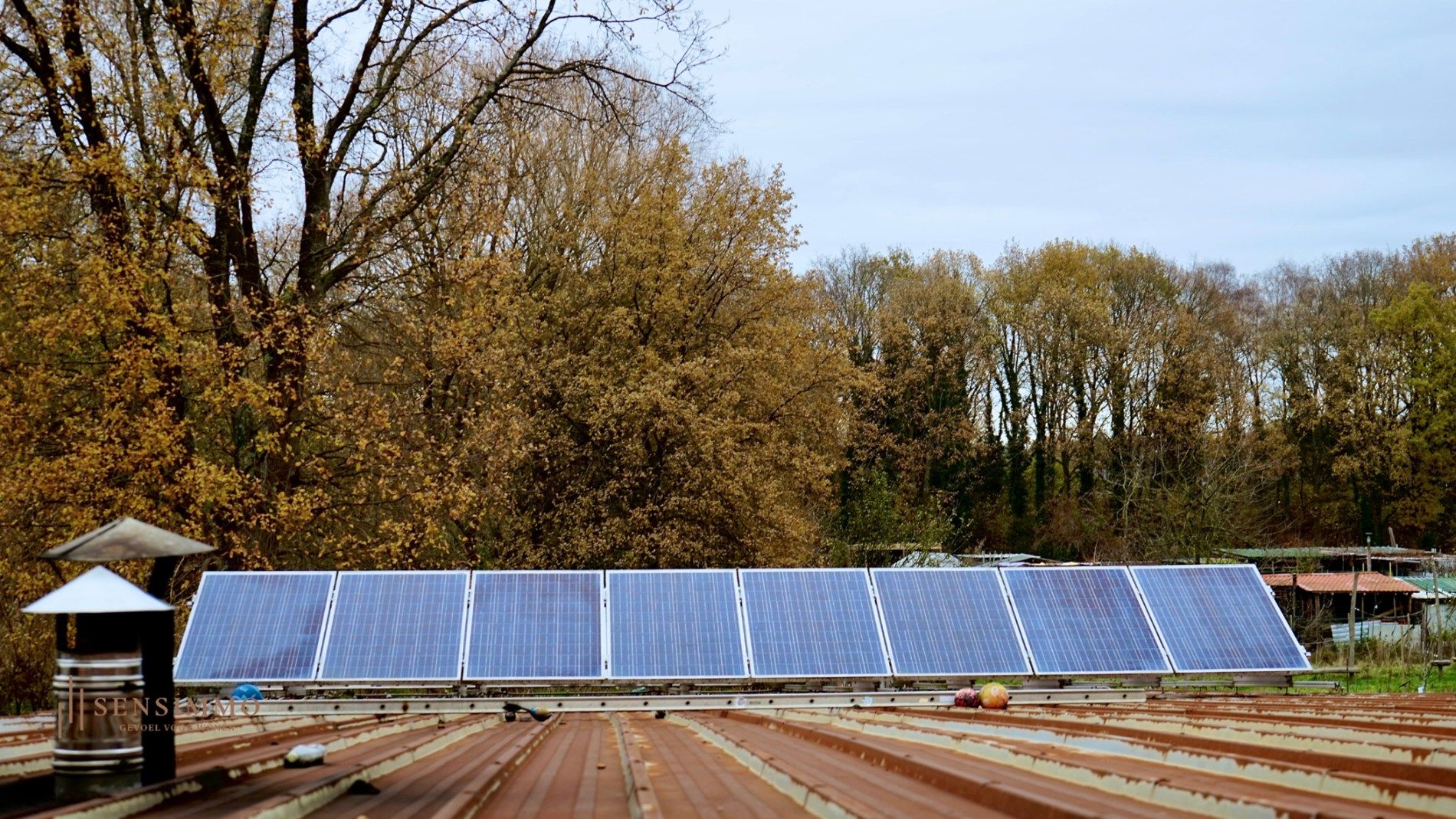 Te renoveren handelshuis/Bakkerij met inboedel nabij LABIOMISTA foto 20