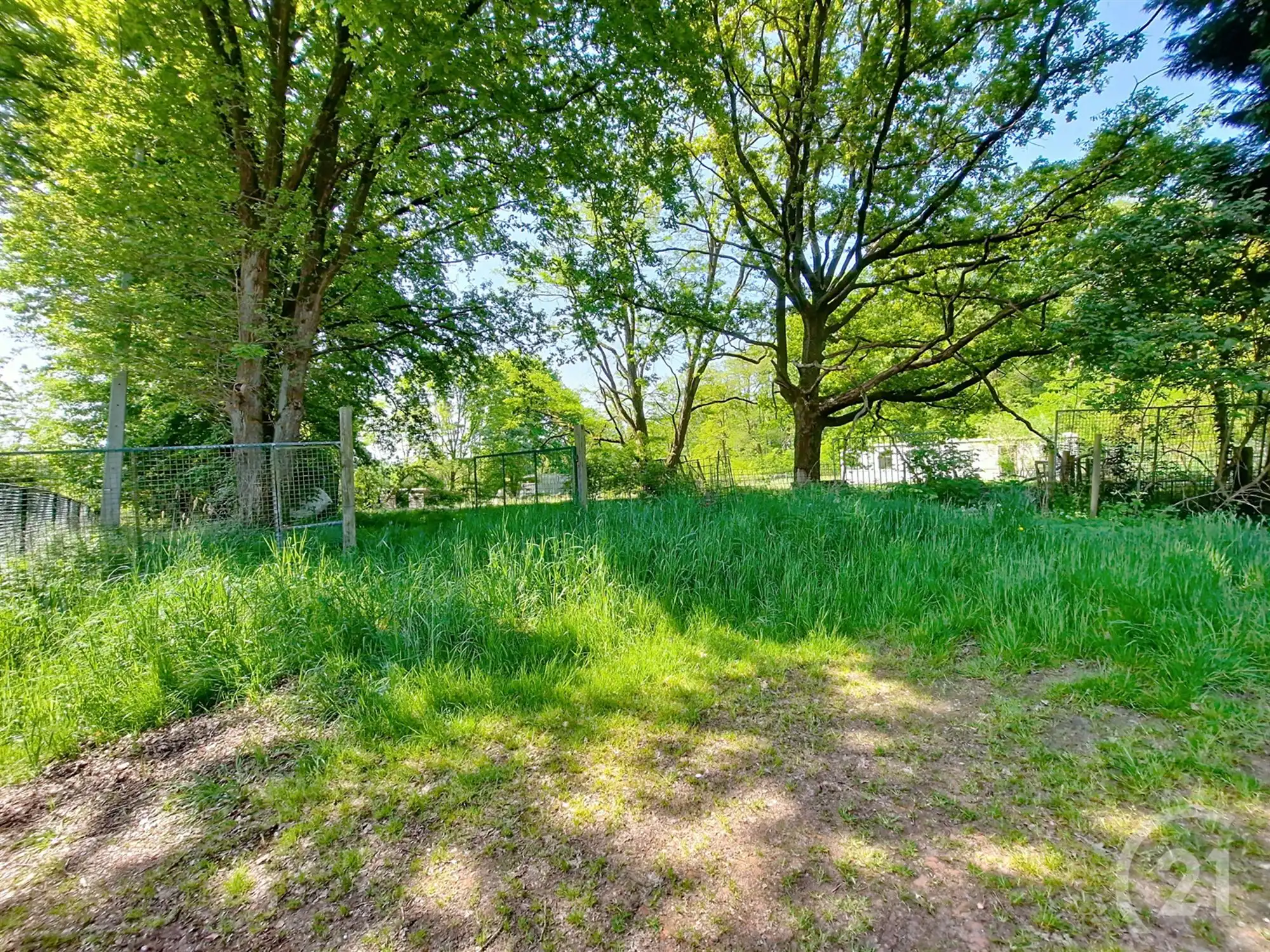 Chalet te koop in Baal! foto 3