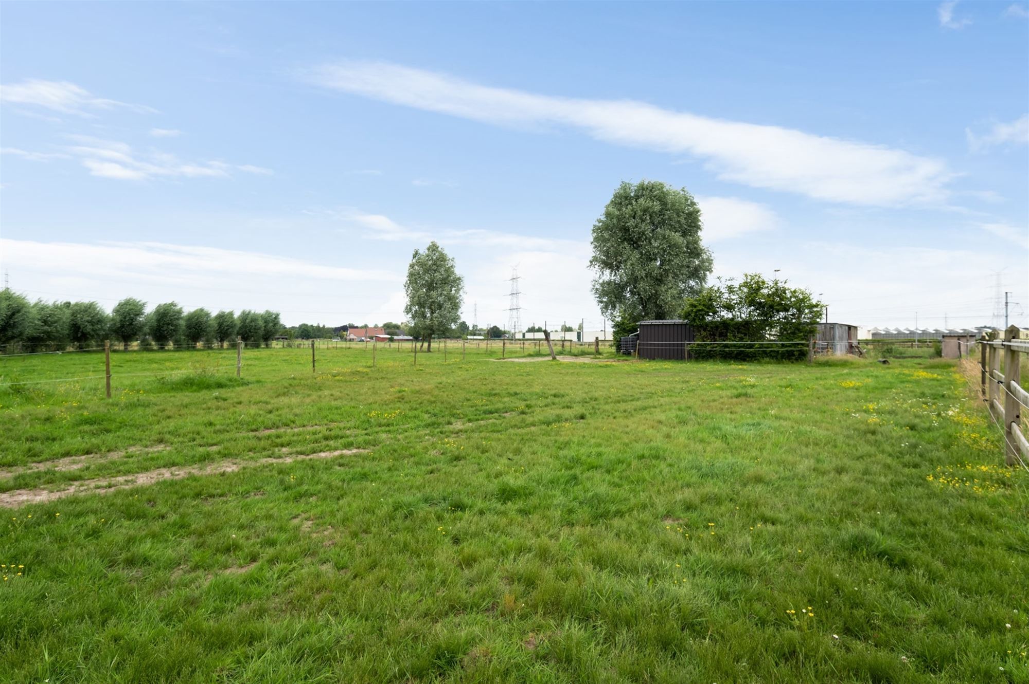 Prachtige paardenweide met stallen en piste foto 8