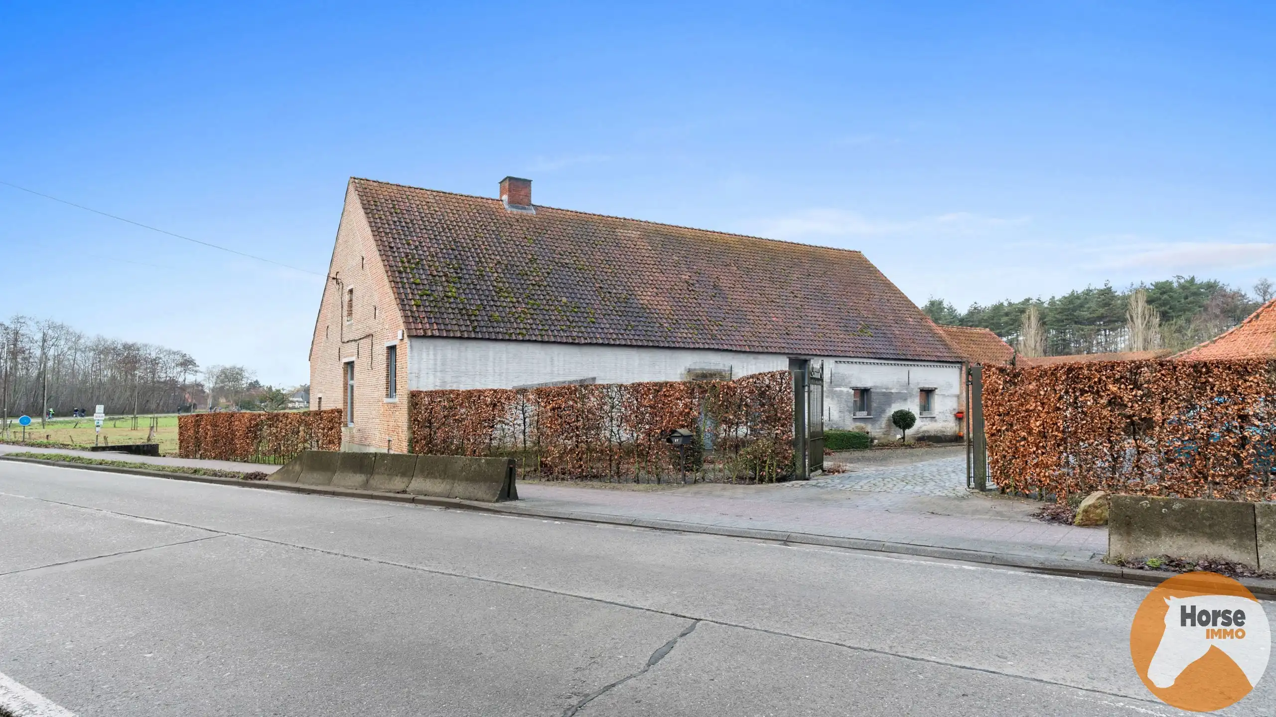 GROBBENDONK - Hoeve met prachtige Kempische schuur en weide foto 5