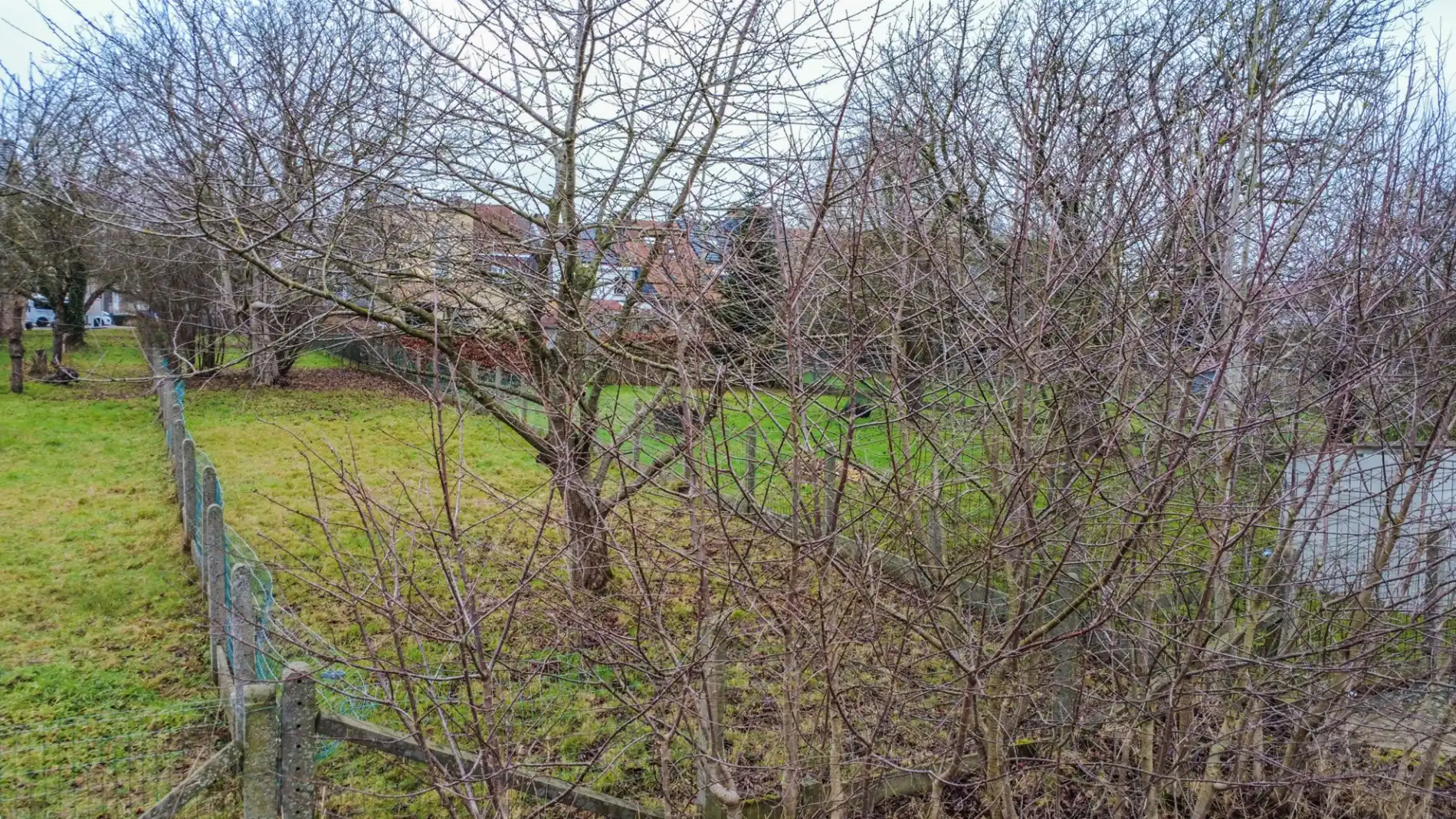 ZEER GUNSTIG GELEGEN BOUWGROND VAN 5A77! foto 4