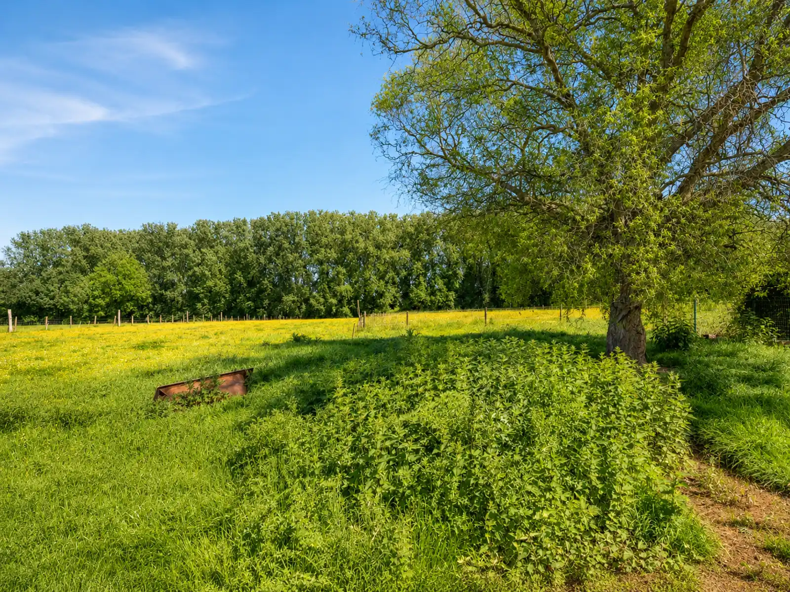 Prachtig gelegen open bebouwing met achterliggende weide foto 23