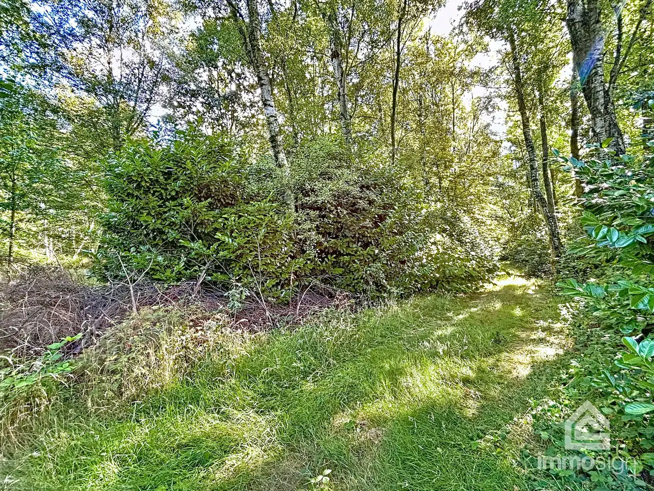 Uniek stuk grond van 9.050 m² in Grote-Brogel/Peer! foto 6