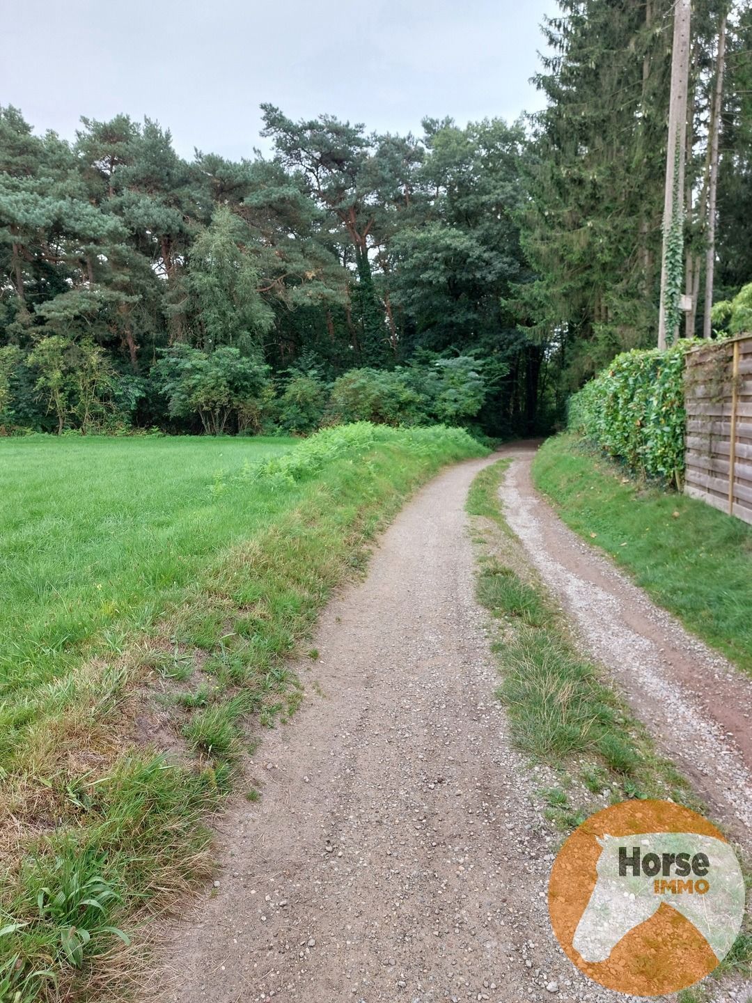 NEEROETEREN - Woning met paardenstallen op +/- 1ha70 foto 26