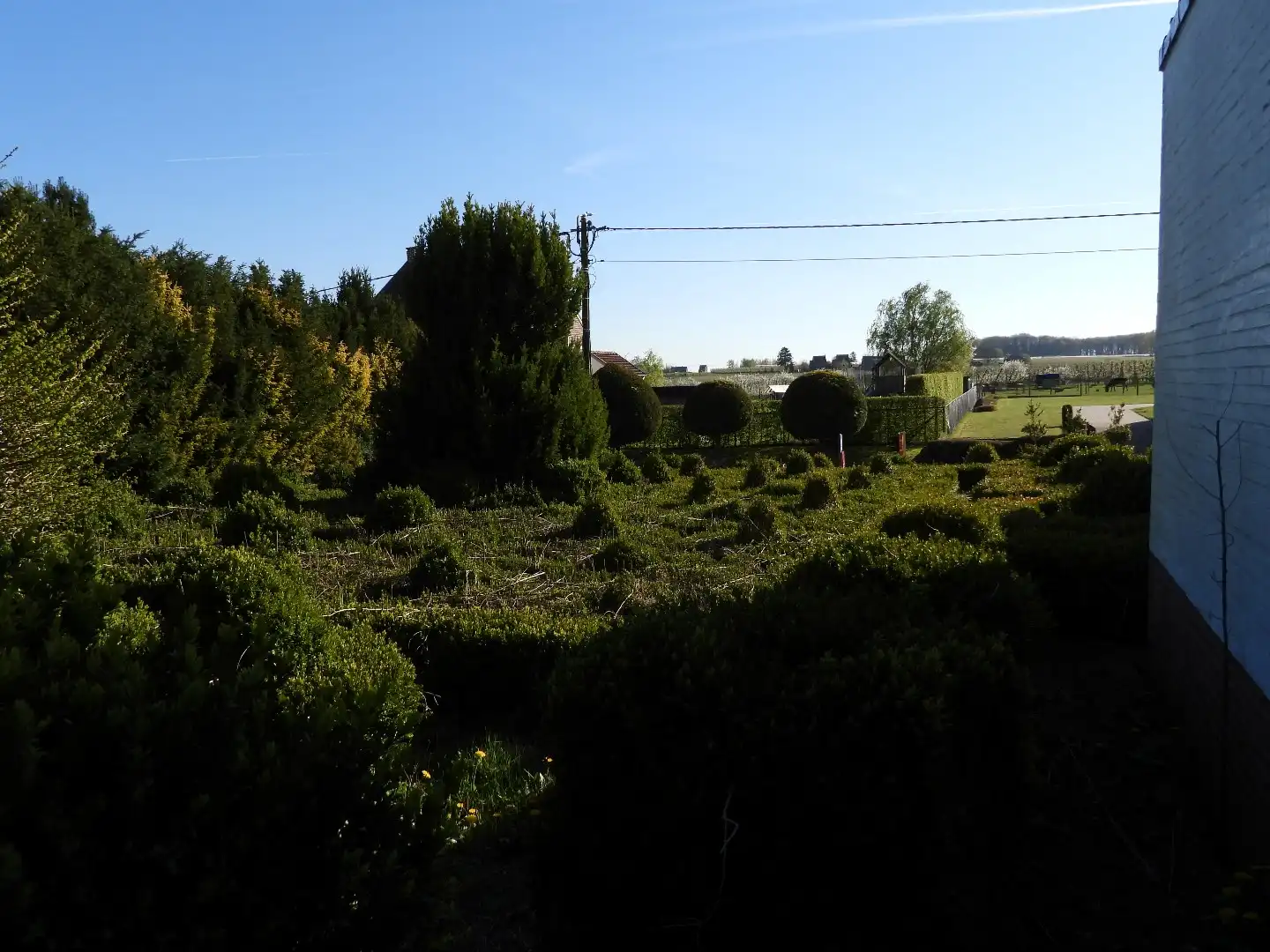 Charmante open bebouwing met karakter in Geetbets ; Halstraat 14 foto 5