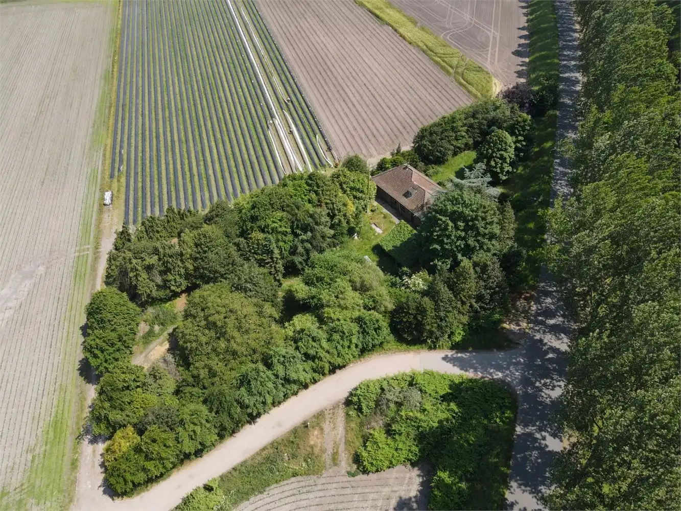 Prachtig mooi gelegen te herbouwen dijkwoning op 2820m² foto 4