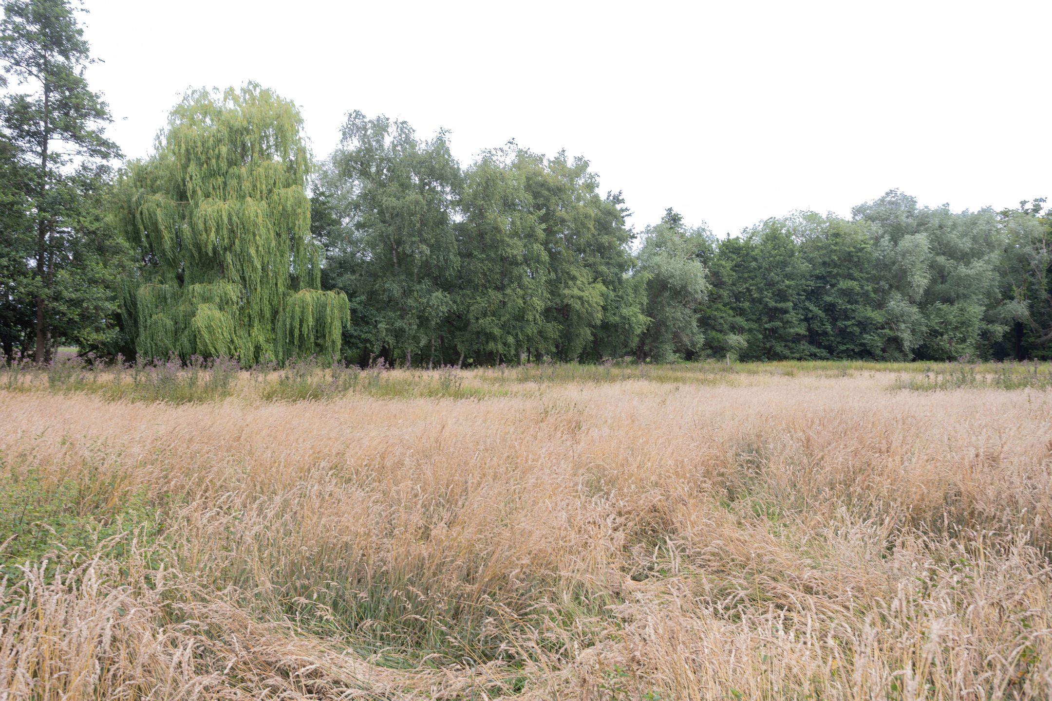 Uniek landhuis met aparte conciergewoning op 2 Hect grond foto 24