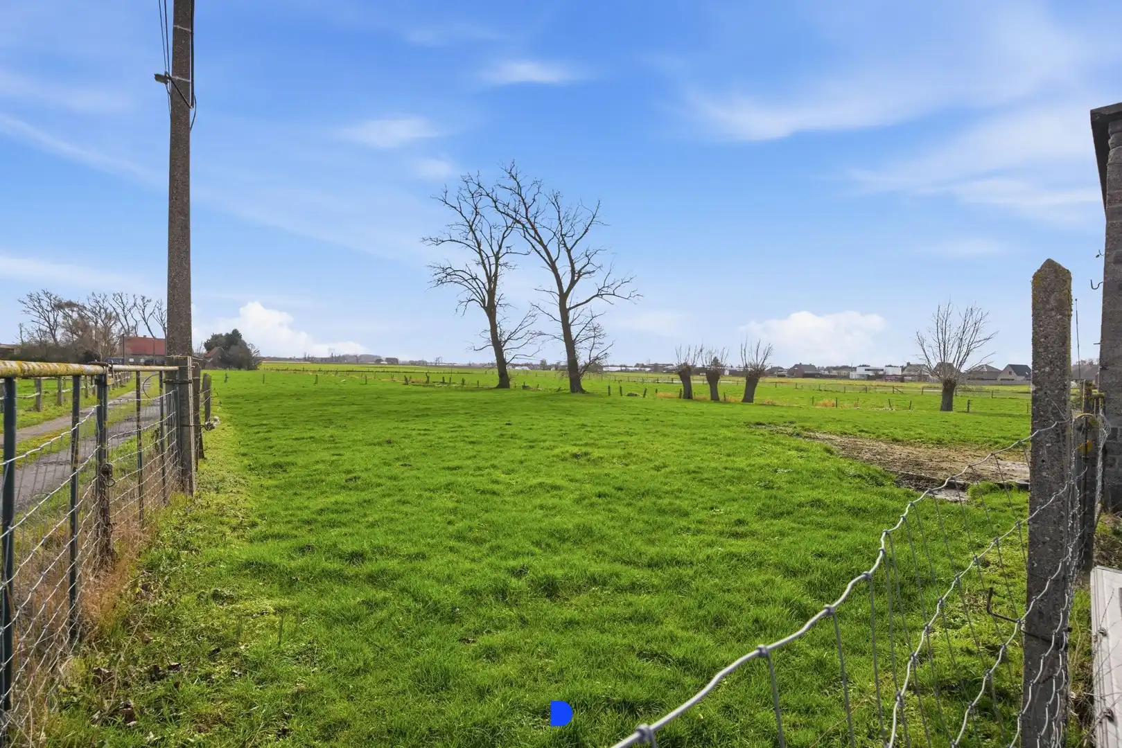 Hoeve met bijgebouwen en stallingen op 4.593m². foto 17