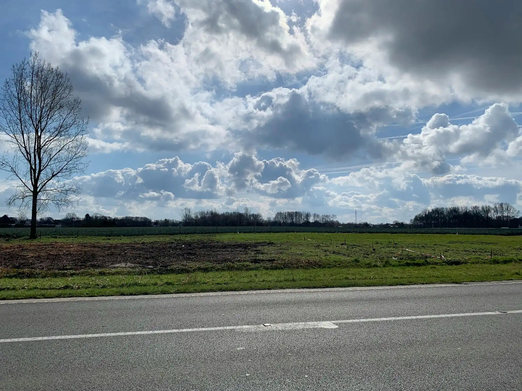 Bouwgrond (742m²) te koop in Liezele foto {{pictureIndex}}