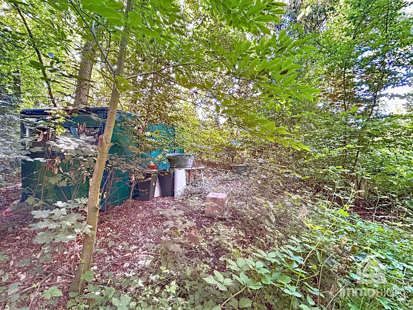 Uniek stuk grond van 9.050 m² in Grote-Brogel/Peer! foto 7