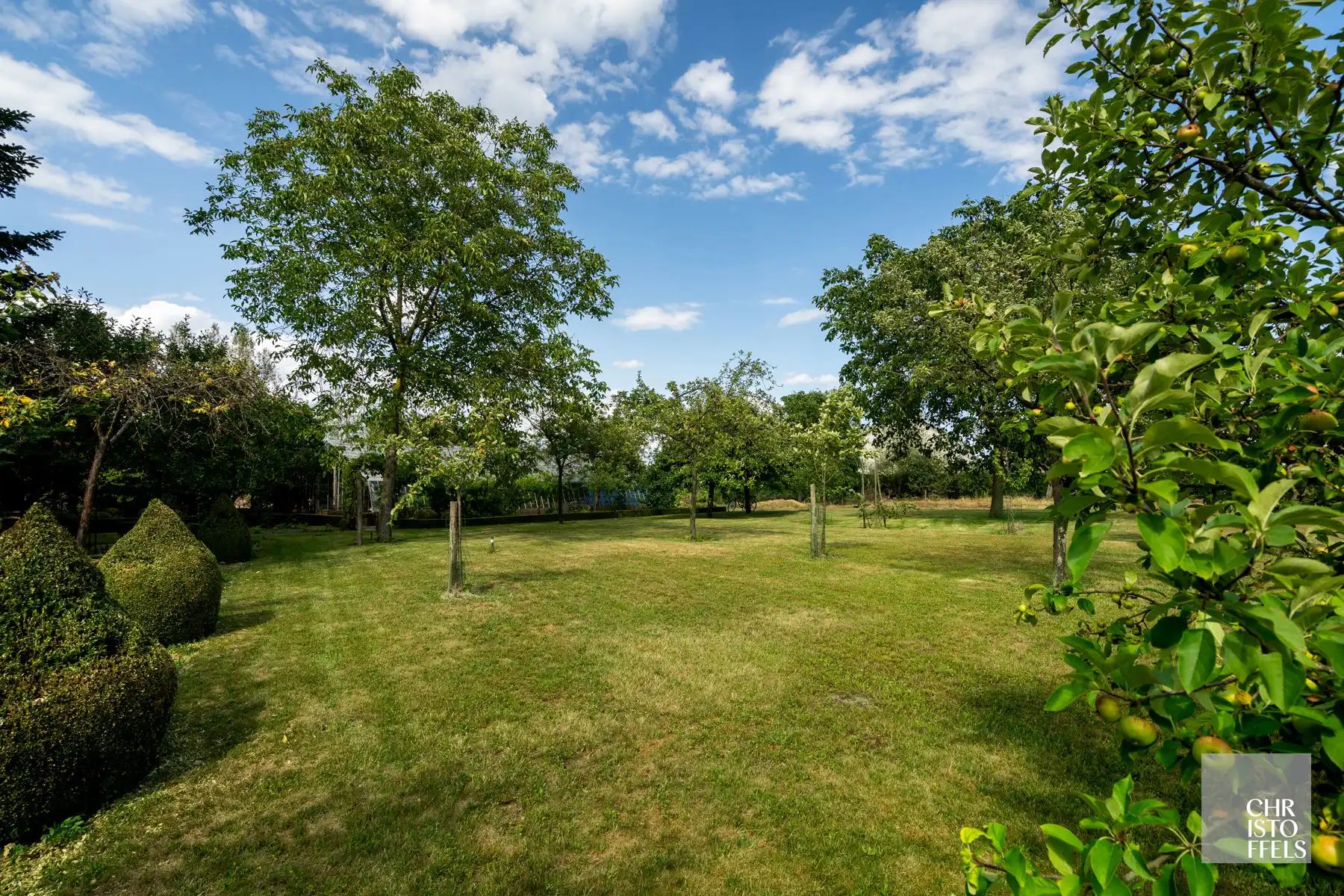 Riante en verzorgde villa van 694m2 op 1ha 00a 18ca! foto 40