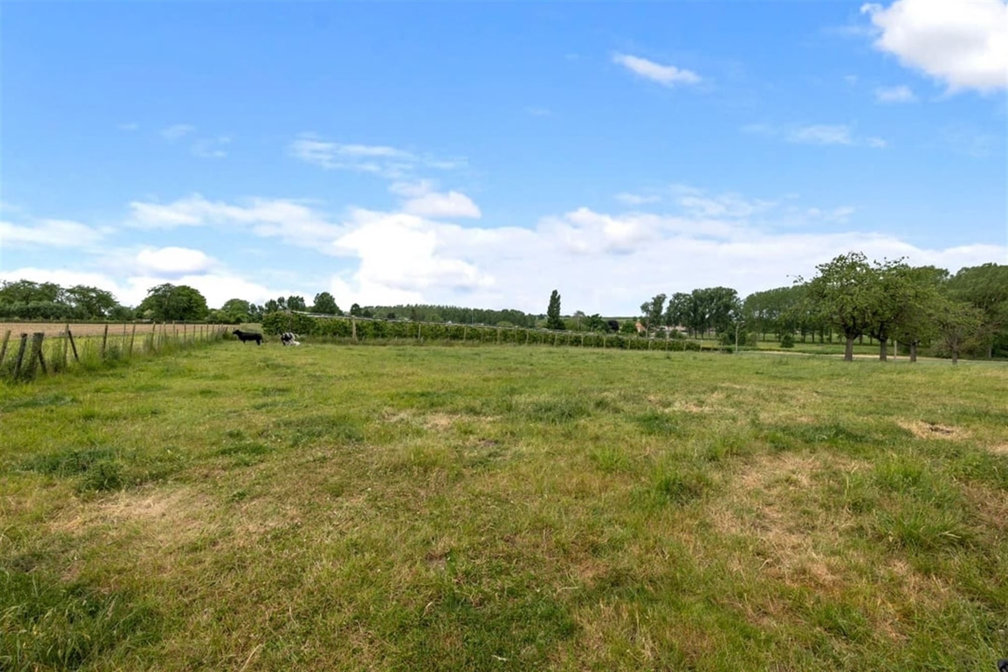 RUIME GEZINSWONING MET LOODS EN WEIDE OP 1,1 HECTARE IN HET LANDELIJKE SINT-TRUIDEN foto 22