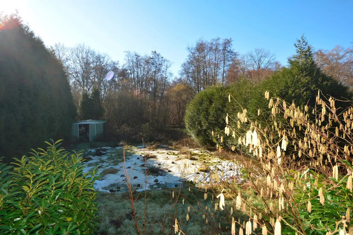 TE RENOVEREN LANDHUIS OP 14.000 m²! foto 7