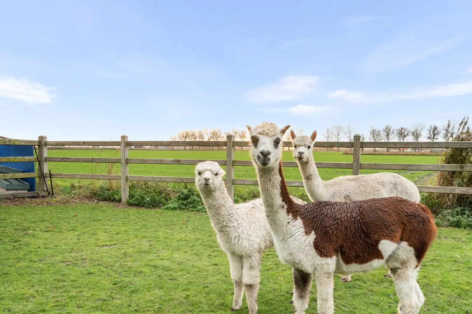 Uiterst charmante halfopen bebouwing met weidse zichten op een perceel van 2012m²  foto 29