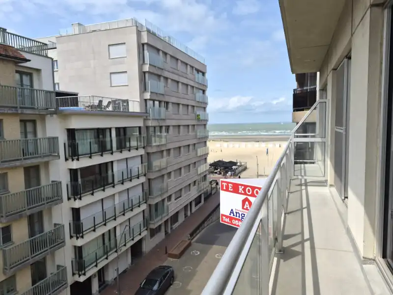 Ruim 1-slaapkamer met lateraal zeezicht te koop foto {{pictureIndex}}
